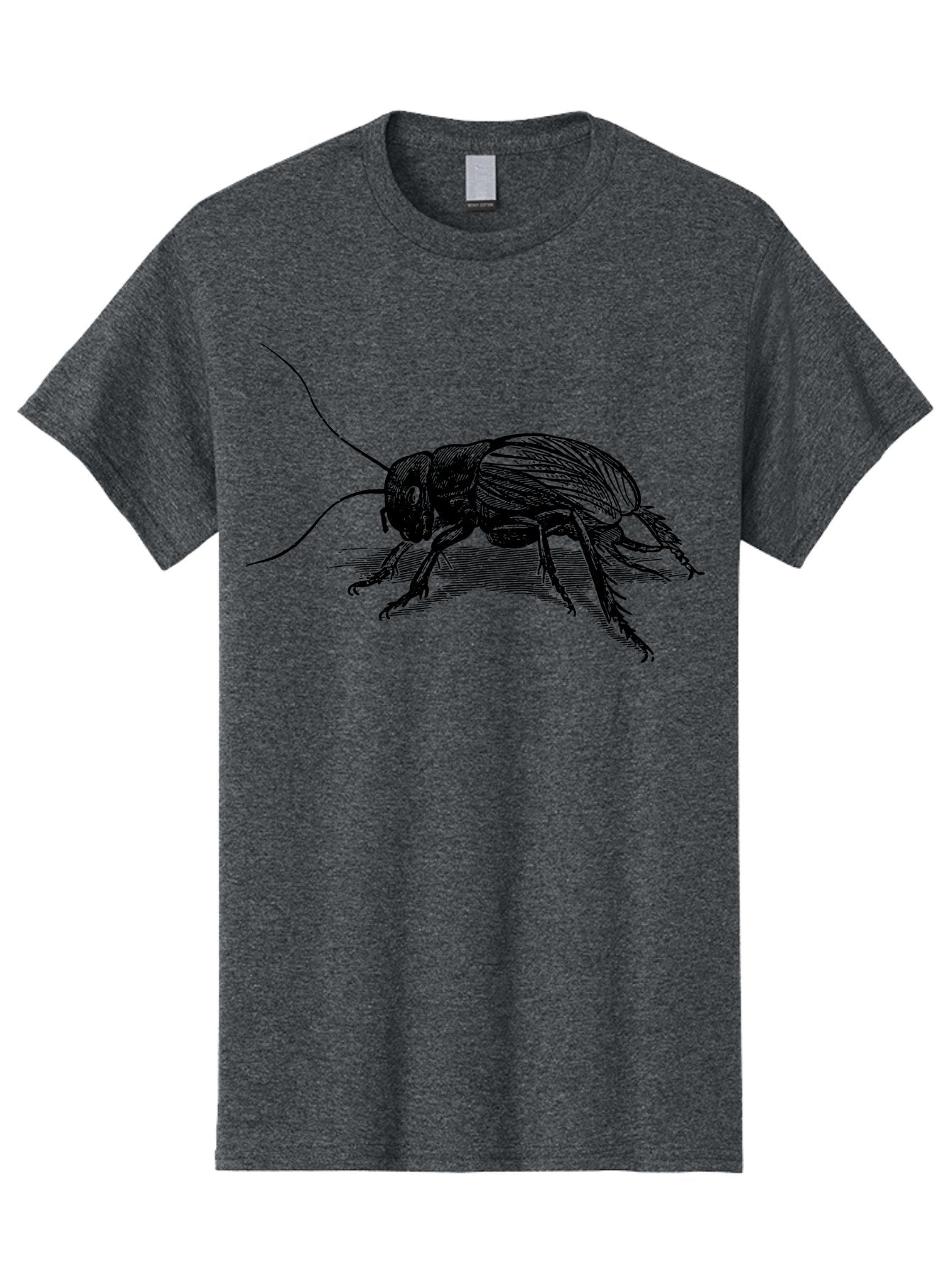 Cricket-2 Men'S Graphic Tee, 100% Cotton, Comfortable Casual Summer Wear, Machine Washable, Cricket Insect, Black Illustration, Detailed Drawing, Insect Anatomy, Entomology Art, Wildlife Illustration, Insect Wings, Long Antennae Aab525 4