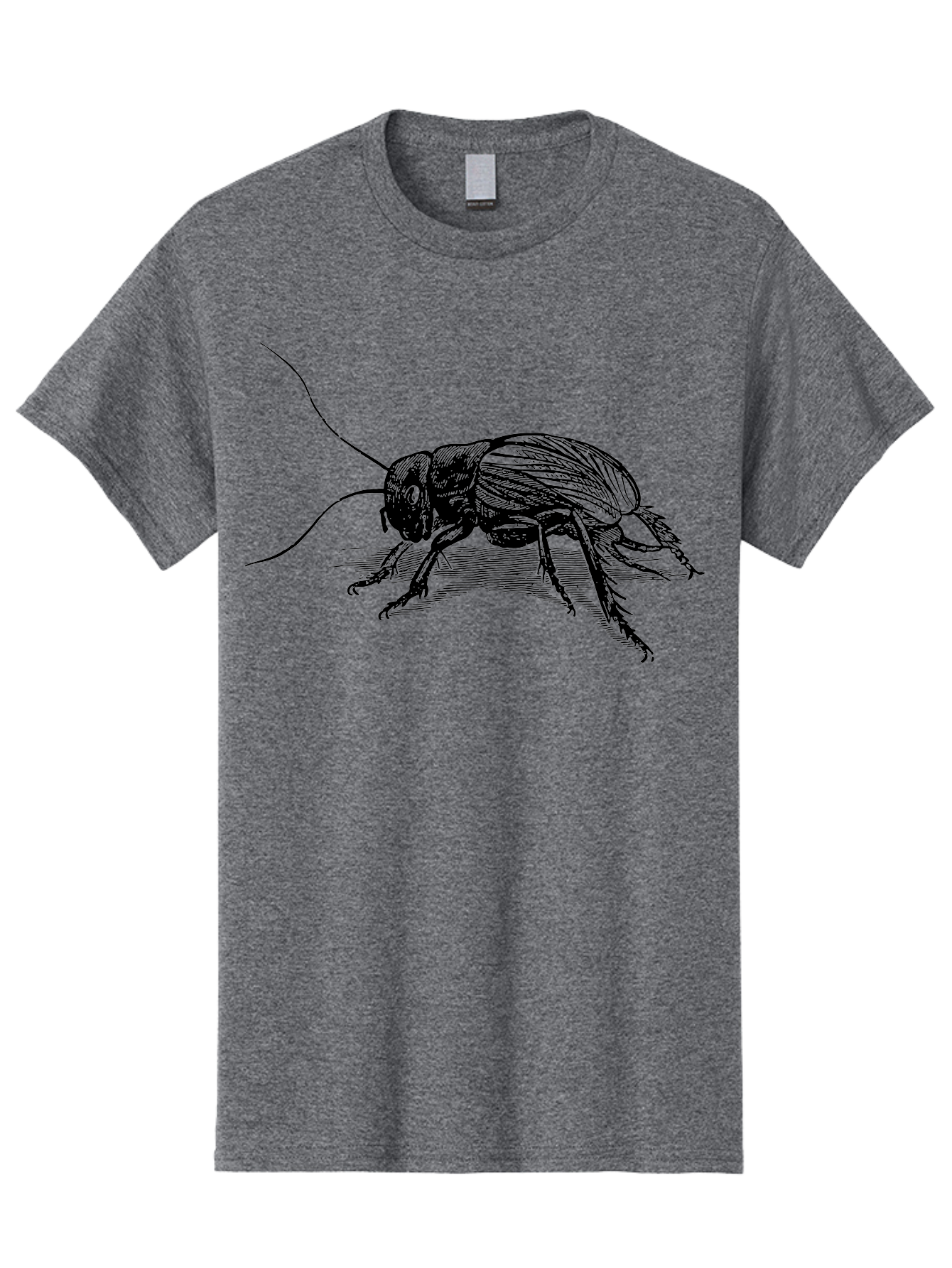 Cricket-2 Men'S Graphic Tee, 100% Cotton, Comfortable Casual Summer Wear, Machine Washable, Cricket Insect, Black Illustration, Detailed Drawing, Insect Anatomy, Entomology Art, Wildlife Illustration, Insect Wings, Long Antennae Aab525 9