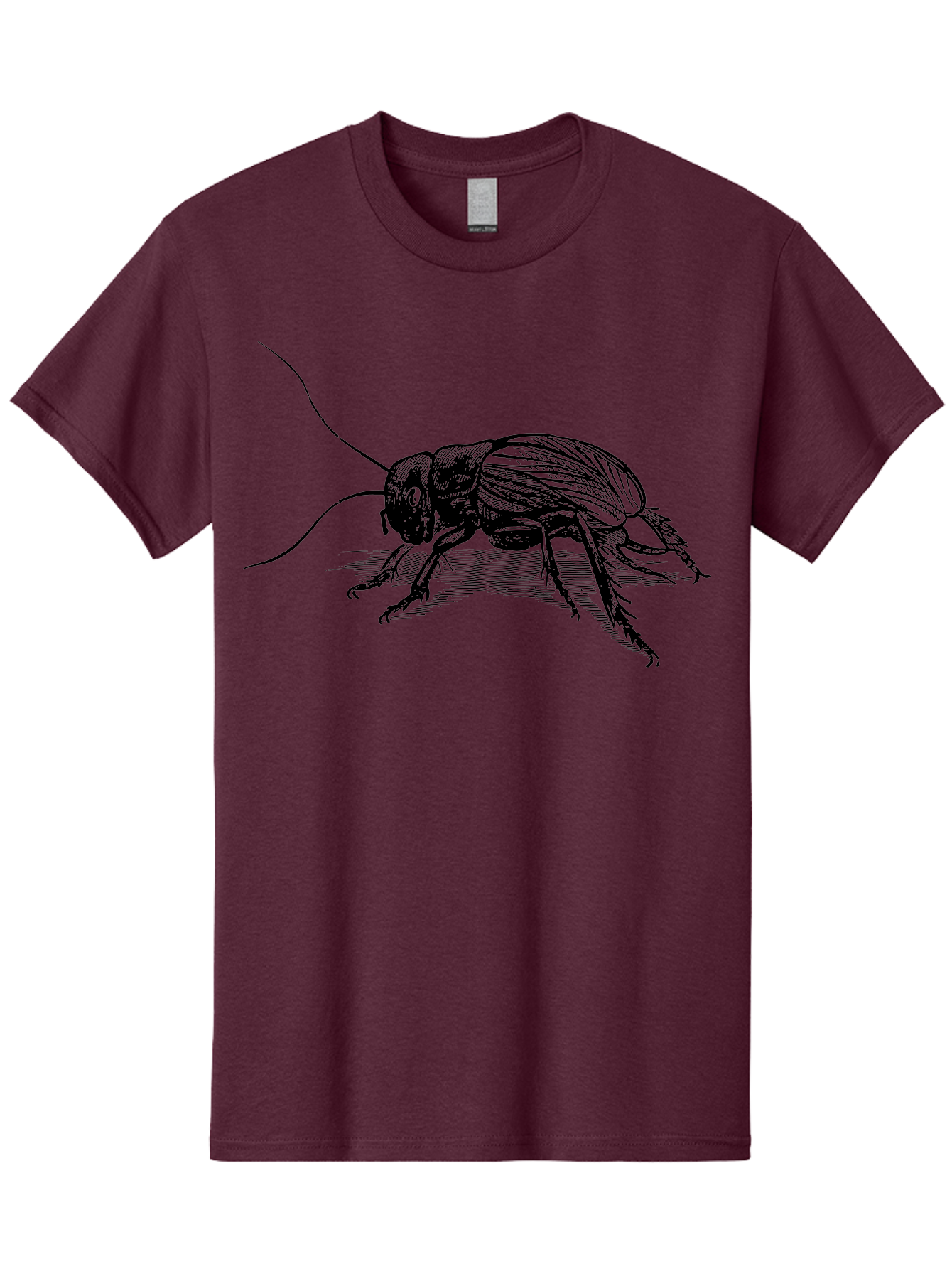 Cricket-2 Men'S Graphic Tee, 100% Cotton, Comfortable Casual Summer Wear, Machine Washable, Cricket Insect, Black Illustration, Detailed Drawing, Insect Anatomy, Entomology Art, Wildlife Illustration, Insect Wings, Long Antennae Aab525 13