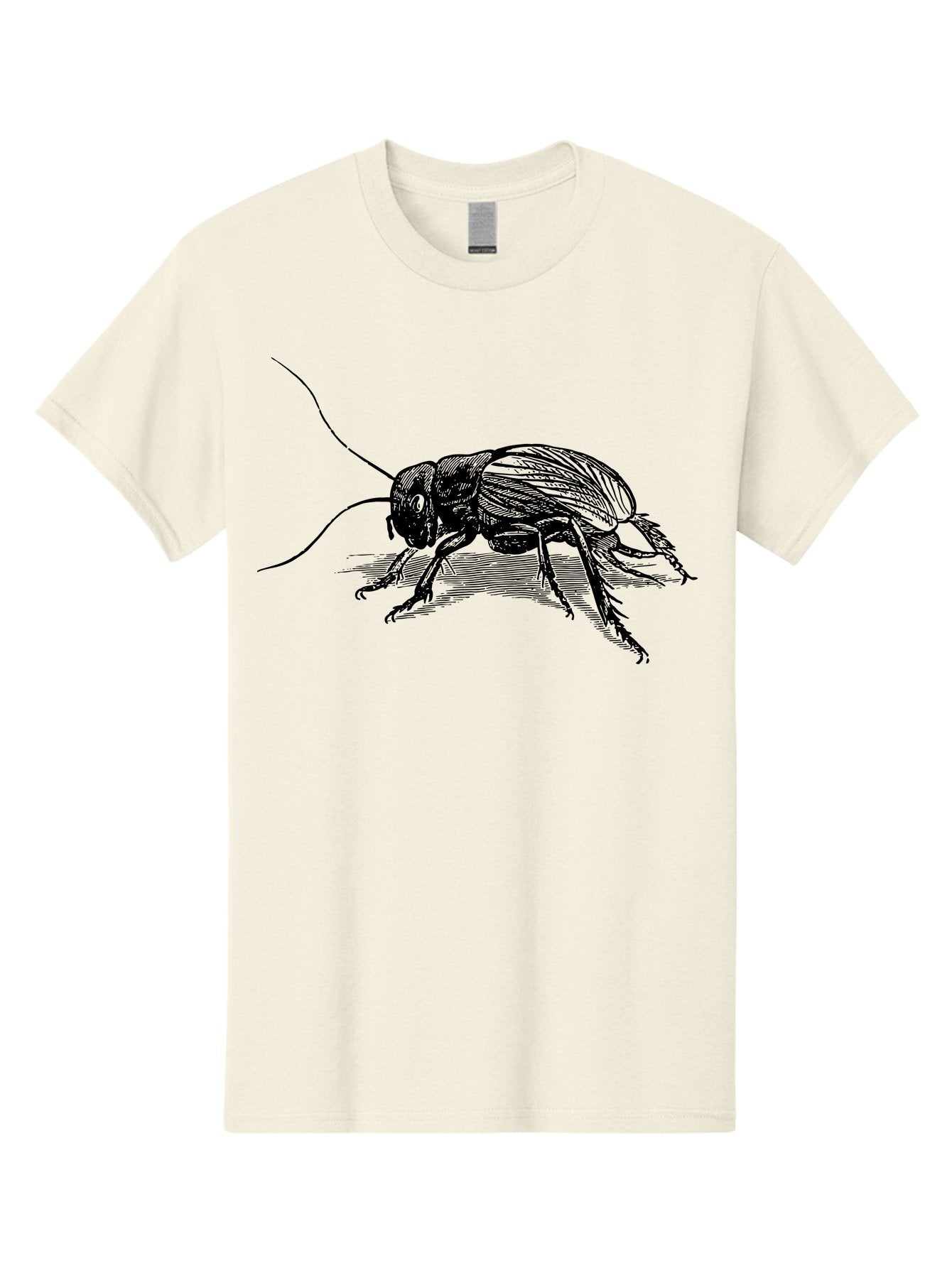 Cricket-2 Men'S Graphic Tee, 100% Cotton, Comfortable Casual Summer Wear, Machine Washable, Cricket Insect, Black Illustration, Detailed Drawing, Insect Anatomy, Entomology Art, Wildlife Illustration, Insect Wings, Long Antennae Aab525 8