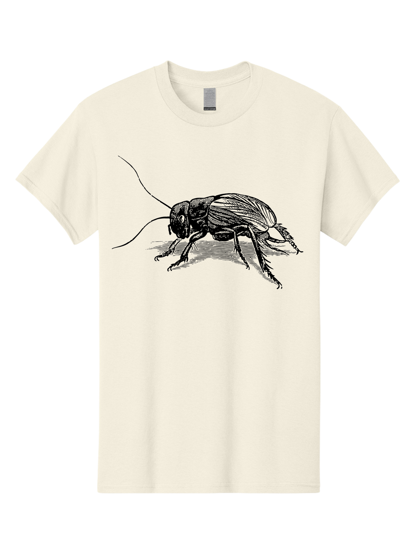 Cricket-2 Men'S Graphic Tee, 100% Cotton, Comfortable Casual Summer Wear, Machine Washable, Cricket Insect, Black Illustration, Detailed Drawing, Insect Anatomy, Entomology Art, Wildlife Illustration, Insect Wings, Long Antennae Aab525 17