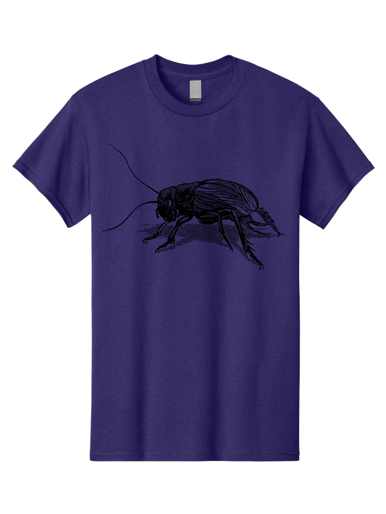 Cricket-2 Men'S Graphic Tee, 100% Cotton, Comfortable Casual Summer Wear, Machine Washable, Cricket Insect, Black Illustration, Detailed Drawing, Insect Anatomy, Entomology Art, Wildlife Illustration, Insect Wings, Long Antennae Aab525 3