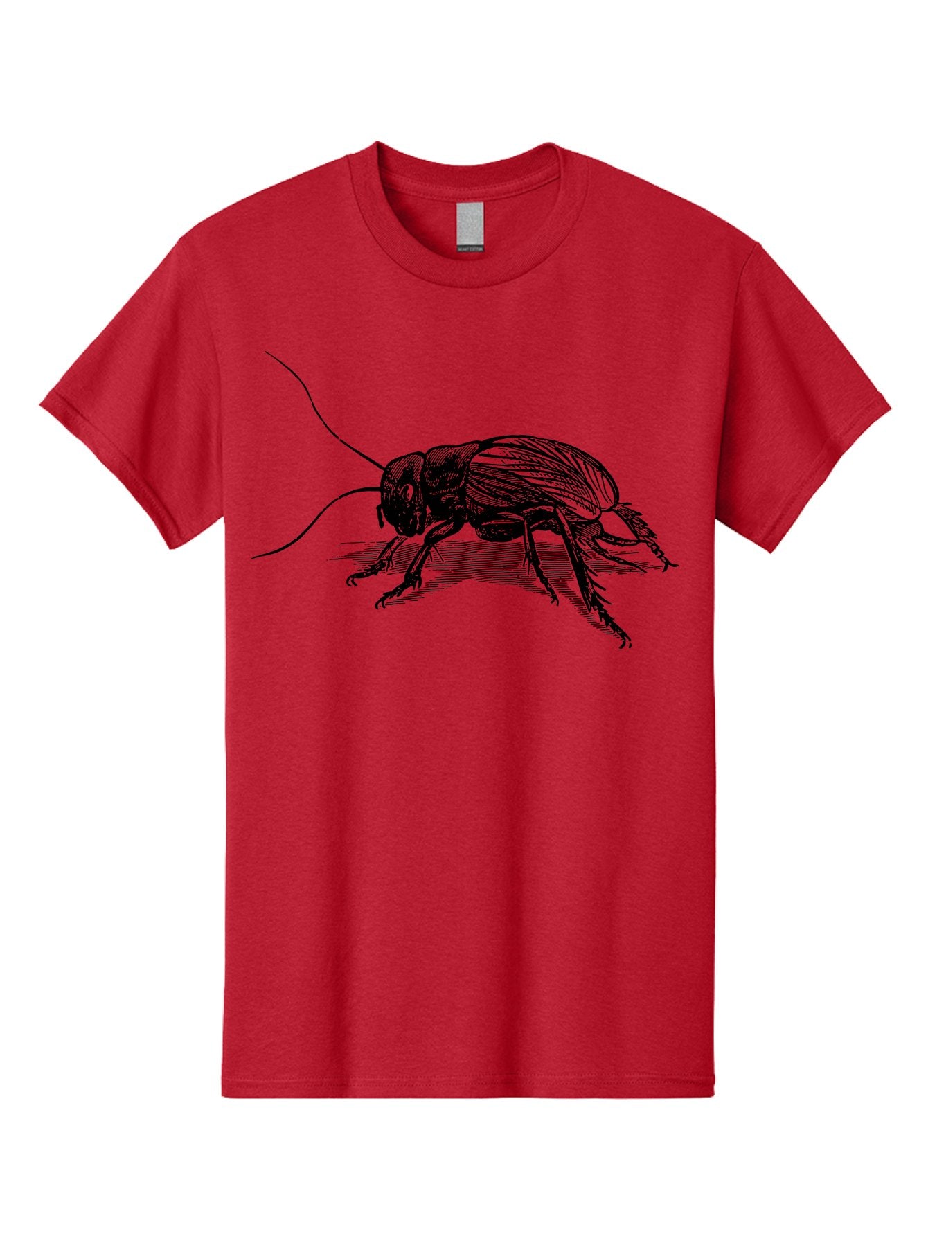 Cricket-2 Men'S Graphic Tee, 100% Cotton, Comfortable Casual Summer Wear, Machine Washable, Cricket Insect, Black Illustration, Detailed Drawing, Insect Anatomy, Entomology Art, Wildlife Illustration, Insect Wings, Long Antennae Aab525 5