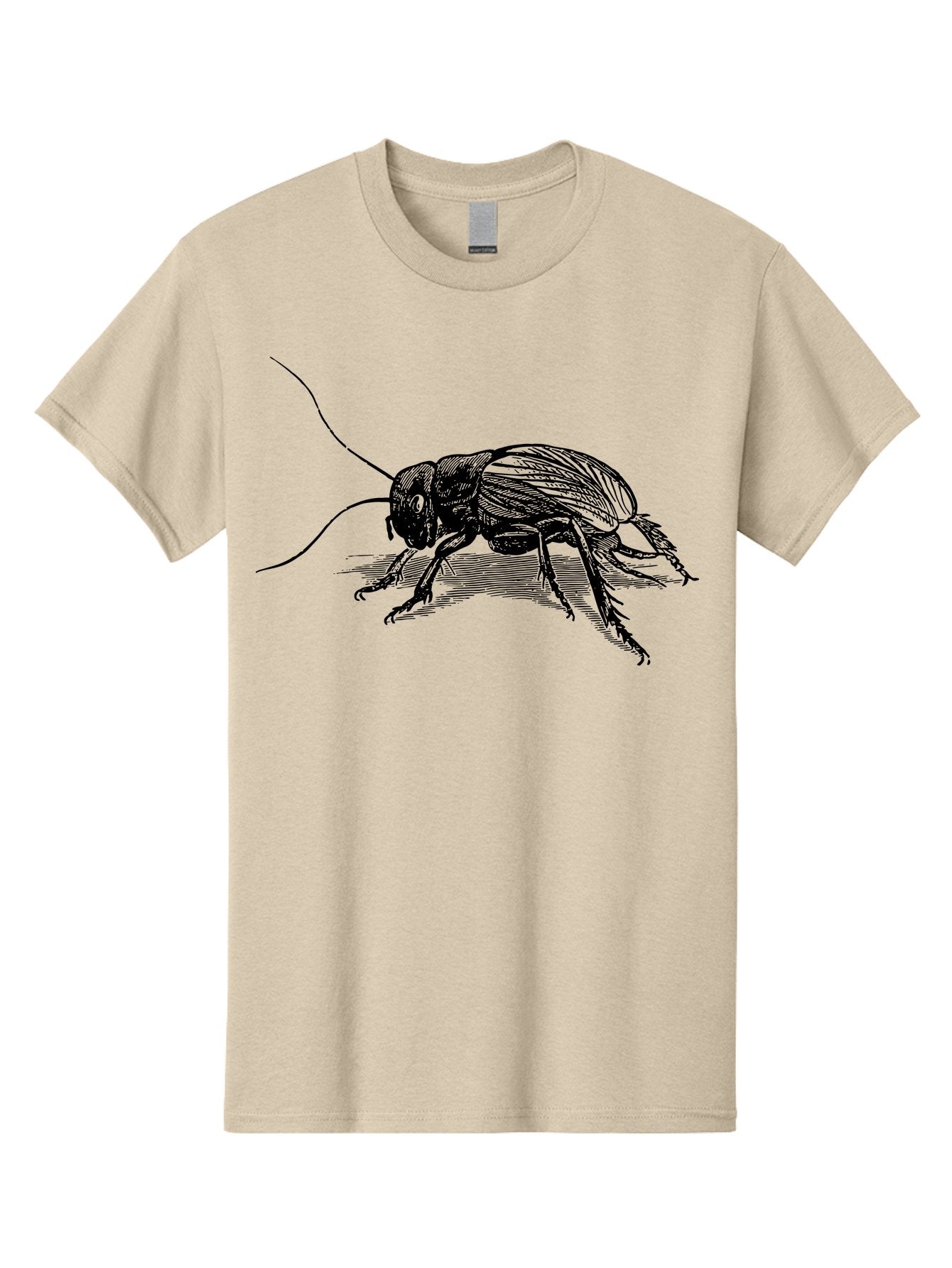 Cricket-2 Men'S Graphic Tee, 100% Cotton, Comfortable Casual Summer Wear, Machine Washable, Cricket Insect, Black Illustration, Detailed Drawing, Insect Anatomy, Entomology Art, Wildlife Illustration, Insect Wings, Long Antennae Aab525 12