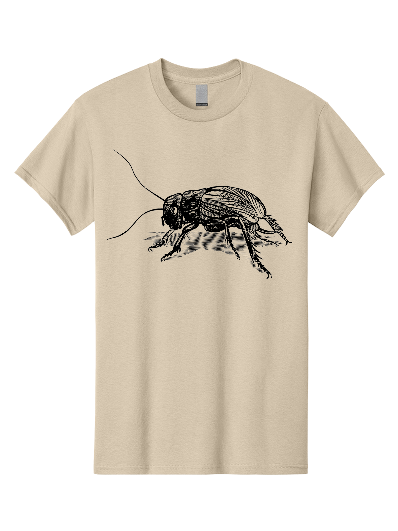 Cricket-2 Men'S Graphic Tee, 100% Cotton, Comfortable Casual Summer Wear, Machine Washable, Cricket Insect, Black Illustration, Detailed Drawing, Insect Anatomy, Entomology Art, Wildlife Illustration, Insect Wings, Long Antennae Aab525 27