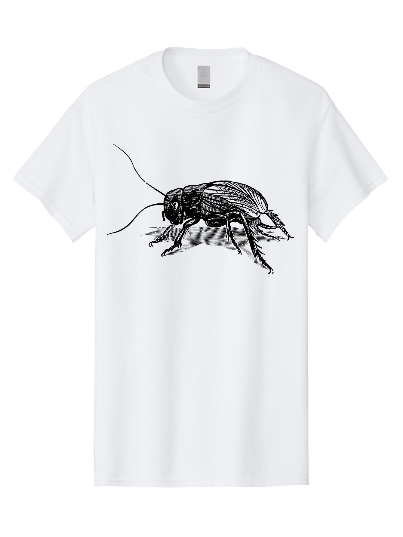Cricket-2 Men'S Graphic Tee, 100% Cotton, Comfortable Casual Summer Wear, Machine Washable, Cricket Insect, Black Illustration, Detailed Drawing, Insect Anatomy, Entomology Art, Wildlife Illustration, Insect Wings, Long Antennae Aab525 10