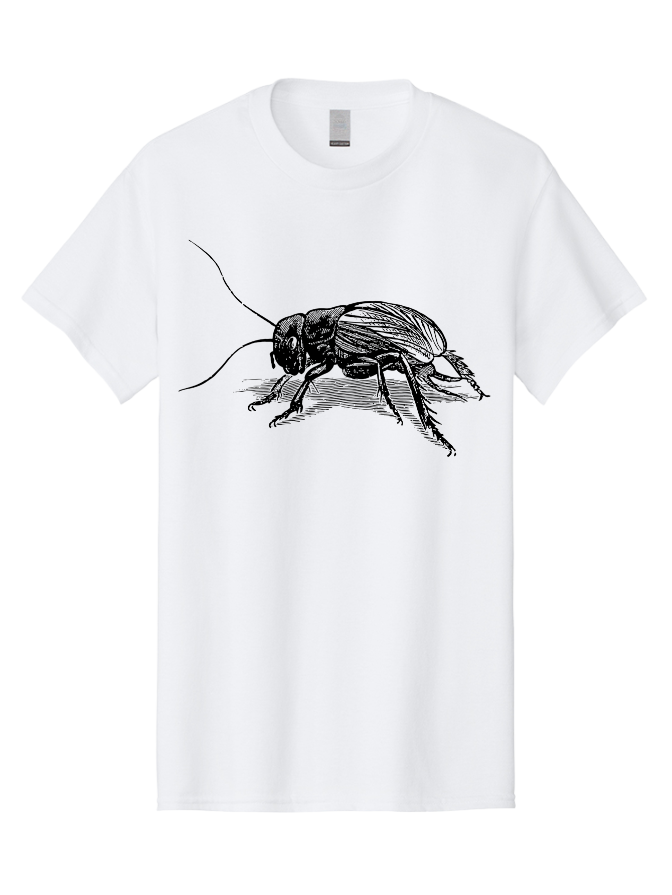 Cricket-2 Men'S Graphic Tee, 100% Cotton, Comfortable Casual Summer Wear, Machine Washable, Cricket Insect, Black Illustration, Detailed Drawing, Insect Anatomy, Entomology Art, Wildlife Illustration, Insect Wings, Long Antennae Aab525 29