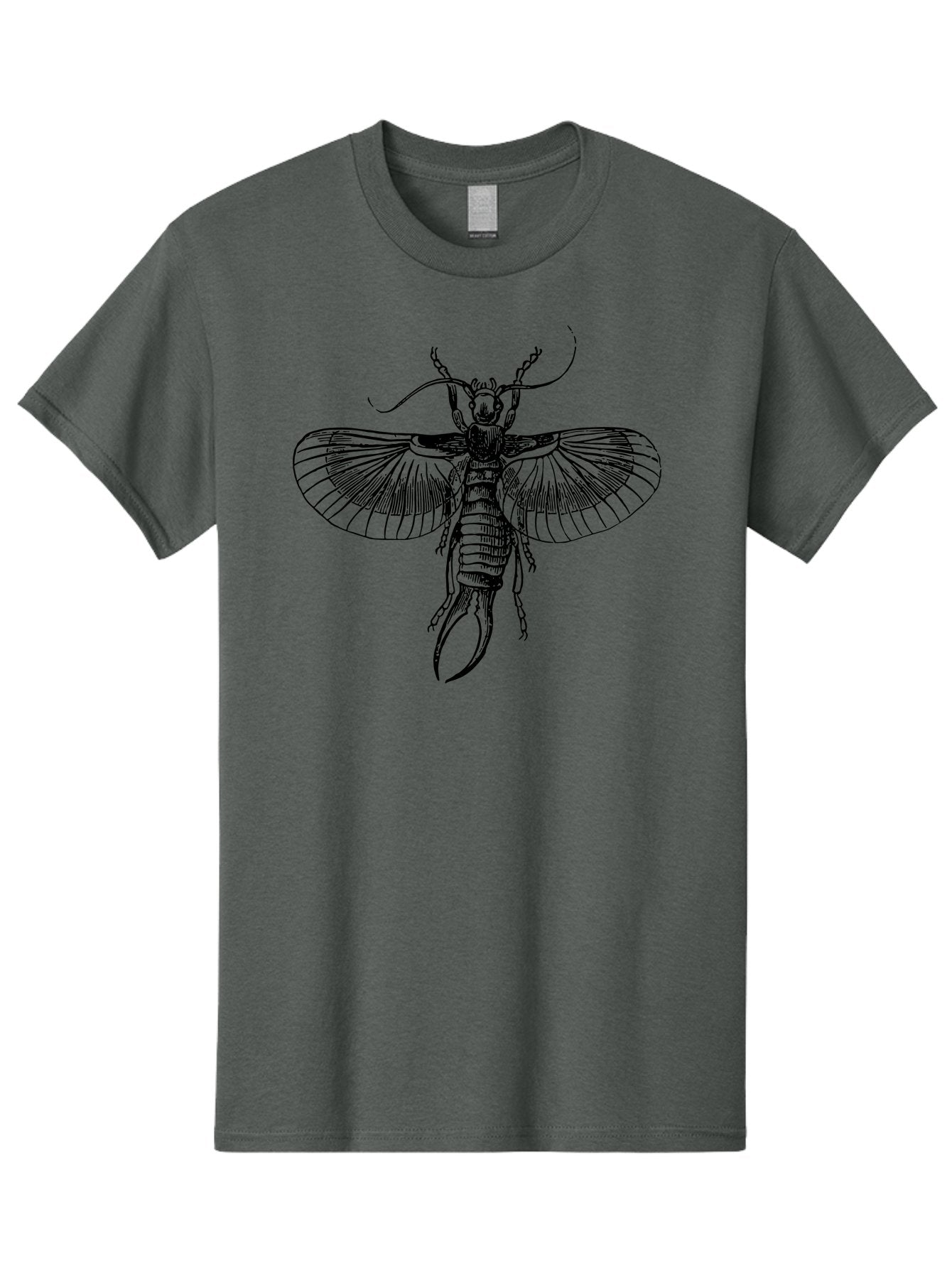 Earwig Men'S Graphic Tee, 100% Cotton, Comfortable Casual Summer Wear, Machine Washable, Detailed Illustration, Earwig Insect, Black And Green, Entomology Art, Insect Anatomy, Detailed Wings, Pincers, Entomological Illustration, Bug Art Aab530