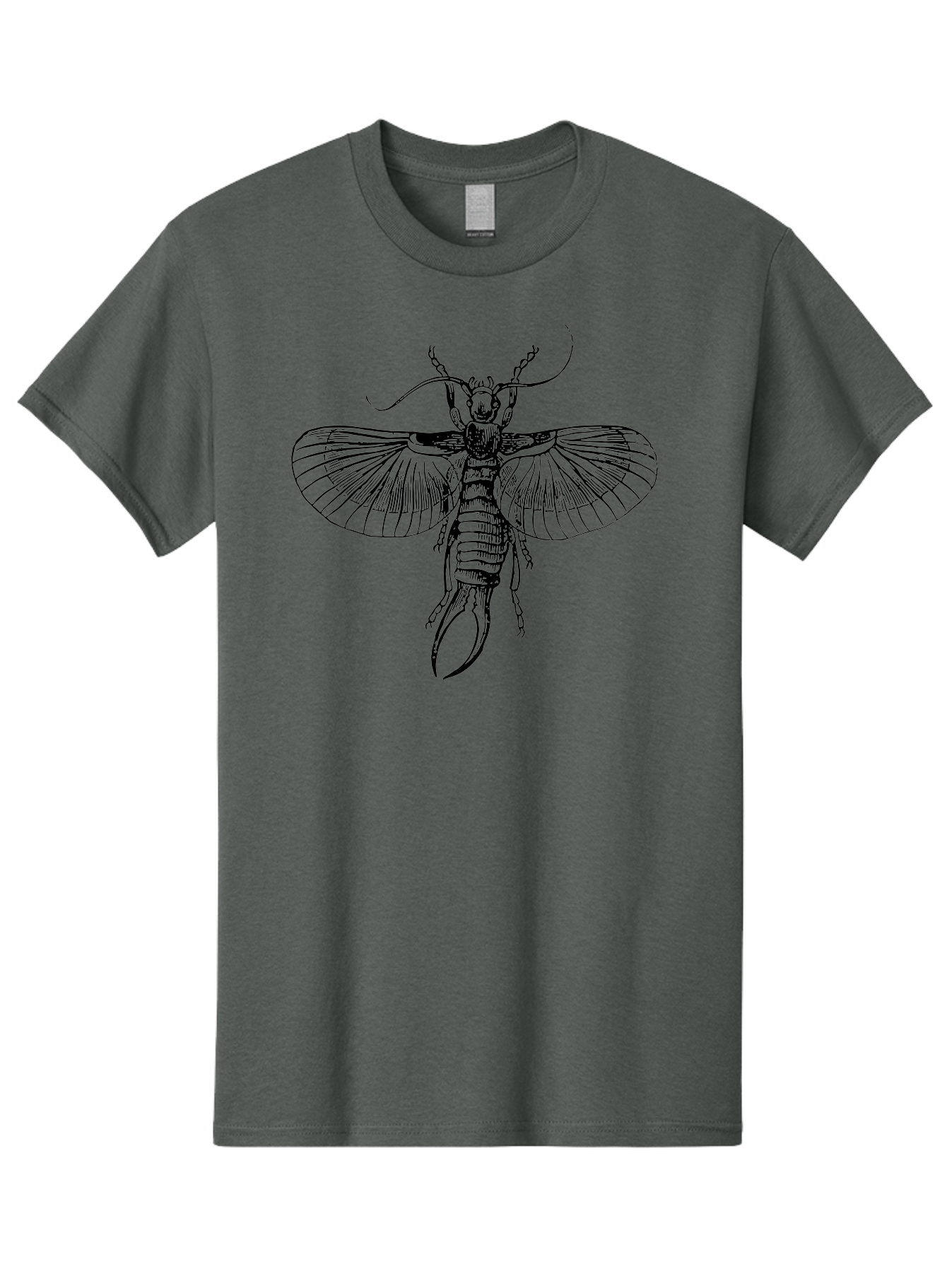 Earwig Men'S Graphic Tee, 100% Cotton, Comfortable Casual Summer Wear, Machine Washable, Detailed Illustration, Earwig Insect, Black And Green, Entomology Art, Insect Anatomy, Detailed Wings, Pincers, Entomological Illustration, Bug Art Aab530 3