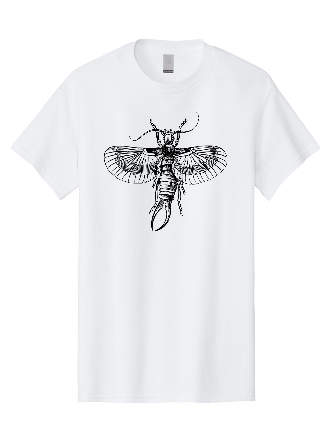 Earwig Men'S Graphic Tee, 100% Cotton, Comfortable Casual Summer Wear, Machine Washable, Detailed Illustration, Earwig Insect, Black And Green, Entomology Art, Insect Anatomy, Detailed Wings, Pincers, Entomological Illustration, Bug Art Aab530 3