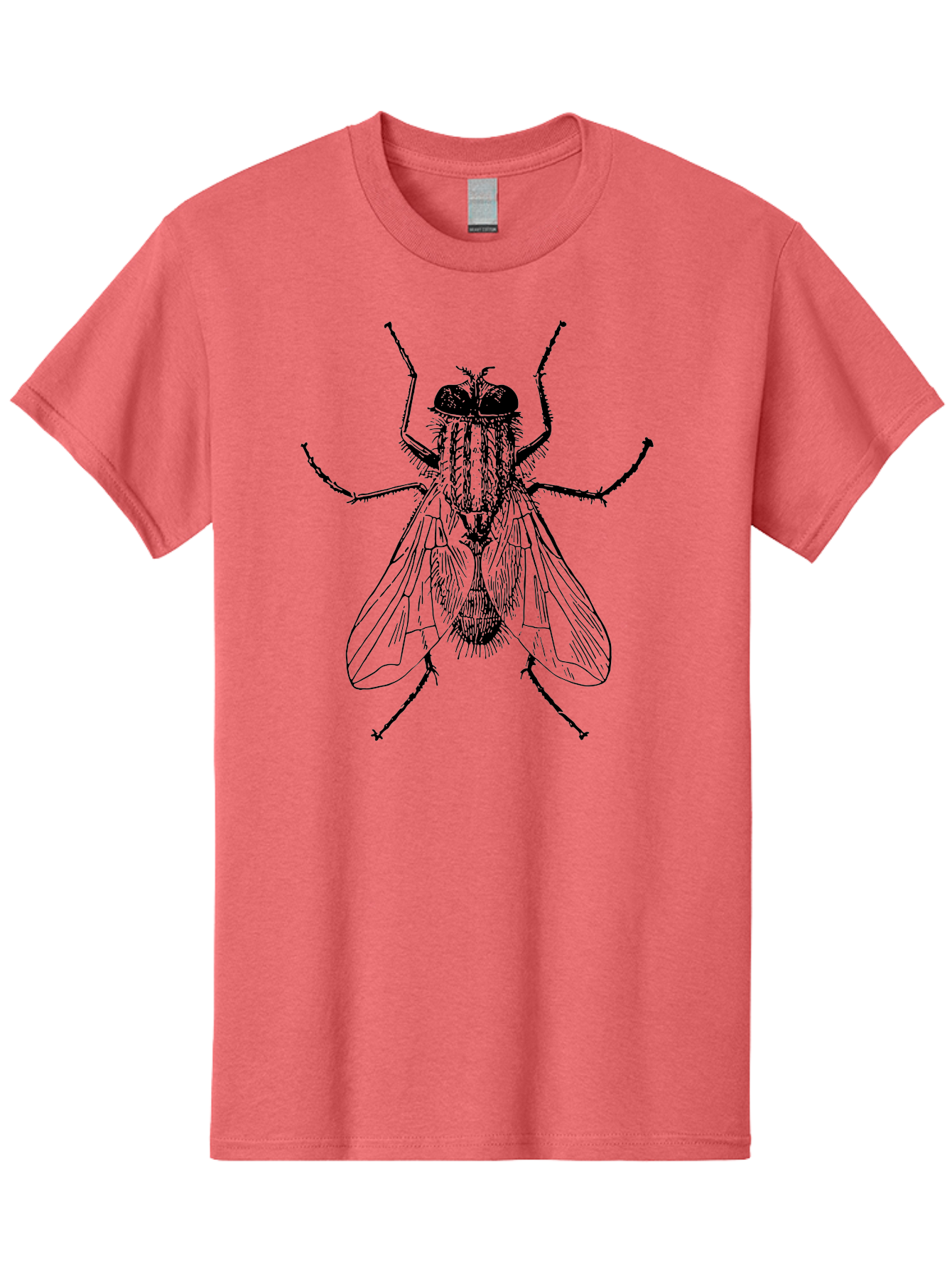 Fly-Illustration Men'S Graphic Tee, 100% Cotton, Comfortable Casual Summer Wear, Machine Washable, Fly, Insect, Black And White Illustration, Detailed Drawing, Entomology, Insect Anatomy, Fly Species, Winged Insect, Bug, Zoology Aab532 5