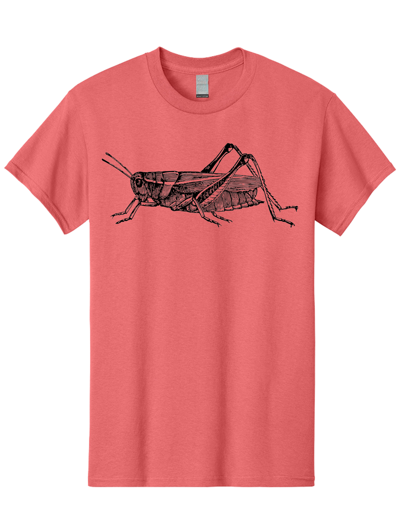 Grasshopper-Illustration Men'S Graphic Tee, 100% Cotton, Comfortable Casual Summer Wear, Machine Washable, Grasshopper Illustration, Insect Art, Detailed Drawing, Black And Green, Wildlife Graphic, Entomology, Nature Design, Bug Illustration Aab536 5