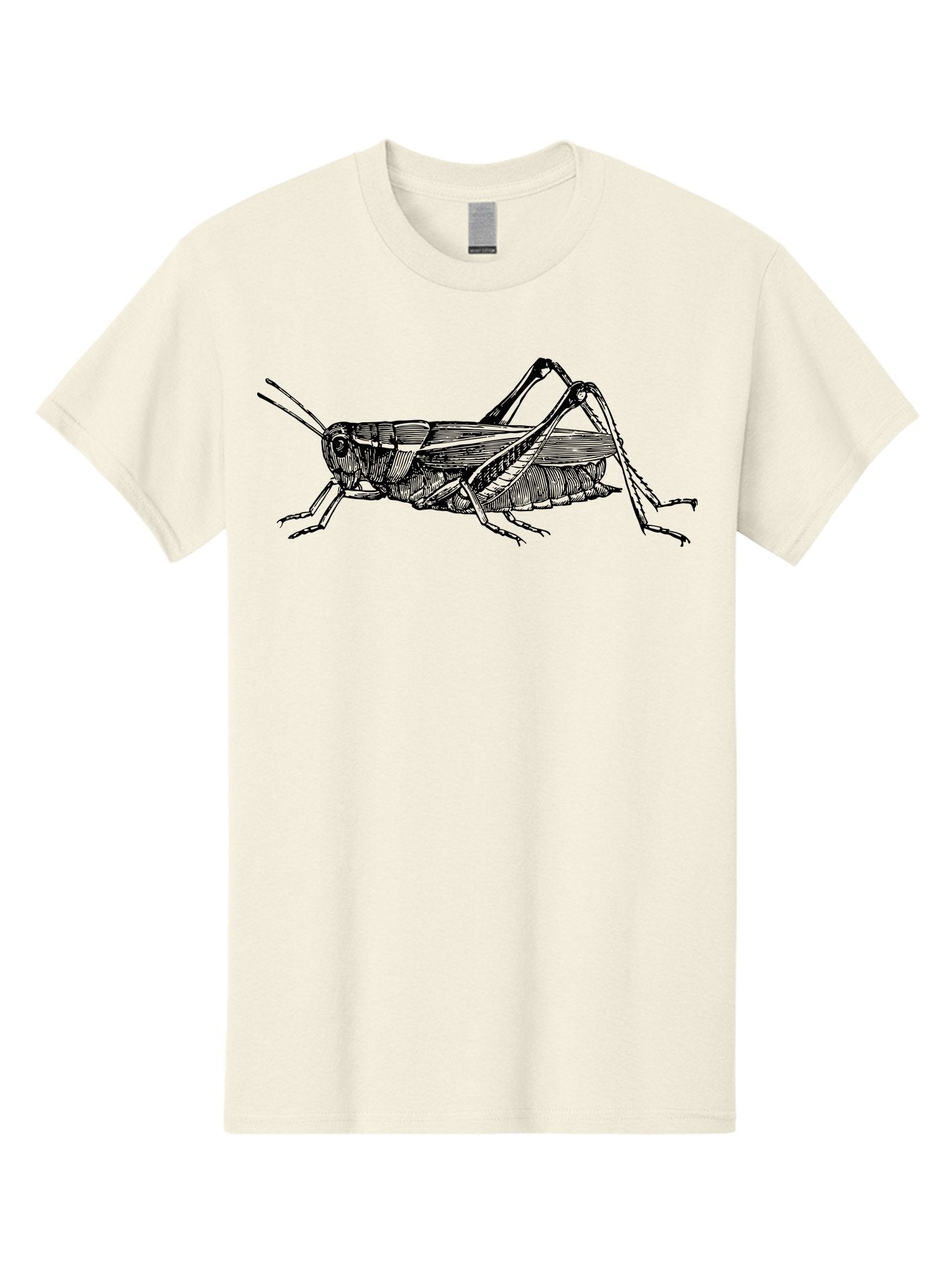 Grasshopper-Illustration Men'S Graphic Tee, 100% Cotton, Comfortable Casual Summer Wear, Machine Washable, Grasshopper Illustration, Insect Art, Detailed Drawing, Black And Green, Wildlife Graphic, Entomology, Nature Design, Bug Illustration Aab536 12