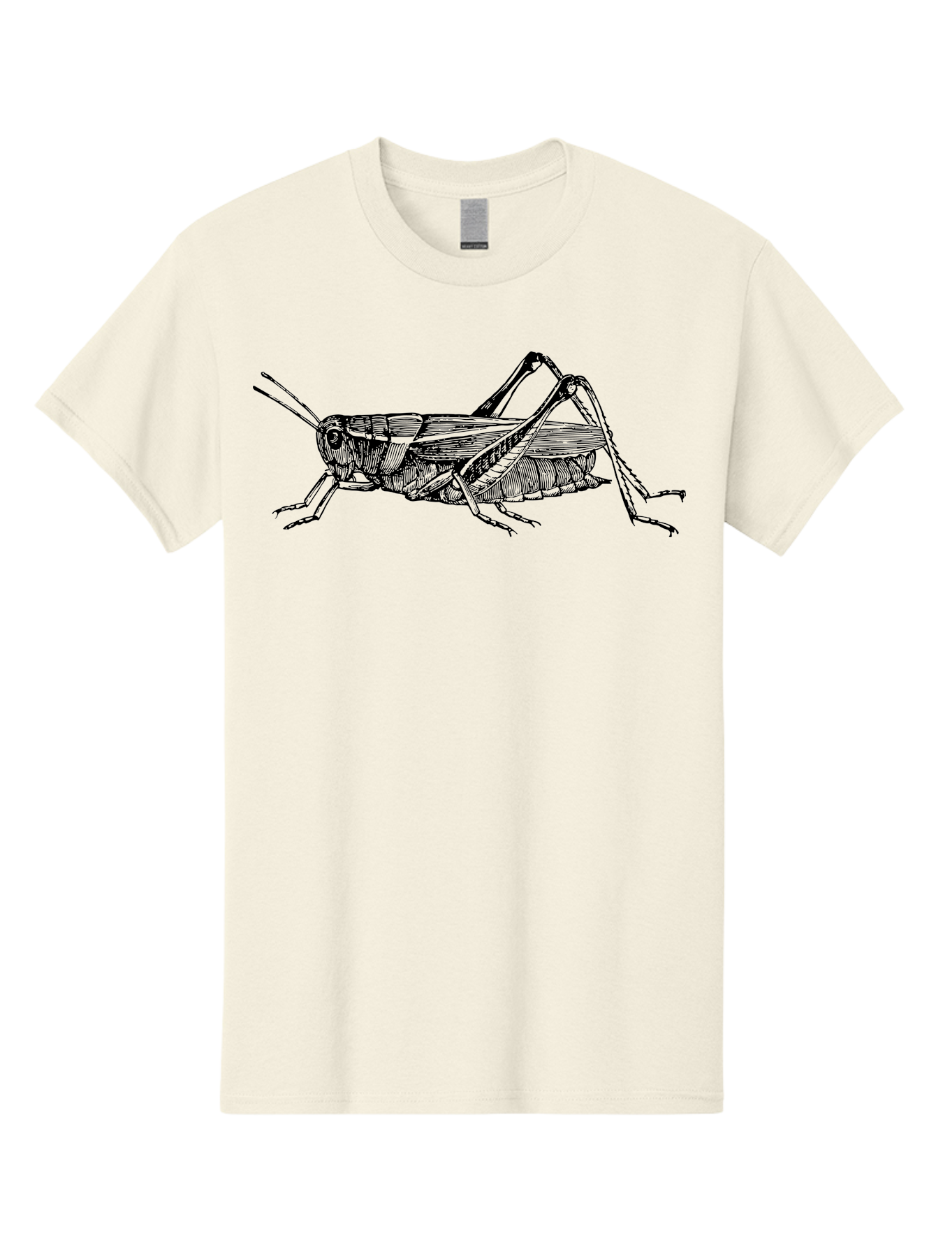 Grasshopper-Illustration Men'S Graphic Tee, 100% Cotton, Comfortable Casual Summer Wear, Machine Washable, Grasshopper Illustration, Insect Art, Detailed Drawing, Black And Green, Wildlife Graphic, Entomology, Nature Design, Bug Illustration Aab536 17