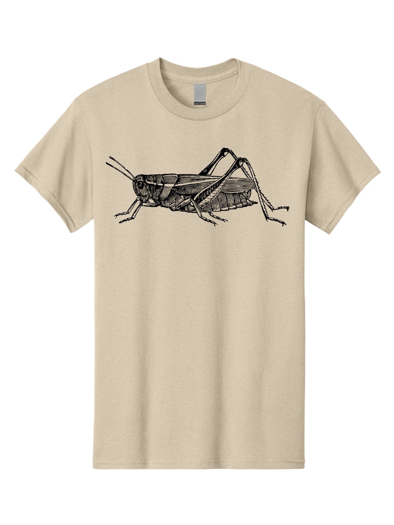Grasshopper-Illustration Men'S Graphic Tee, 100% Cotton, Comfortable Casual Summer Wear, Machine Washable, Grasshopper Illustration, Insect Art, Detailed Drawing, Black And Green, Wildlife Graphic, Entomology, Nature Design, Bug Illustration Aab536 9