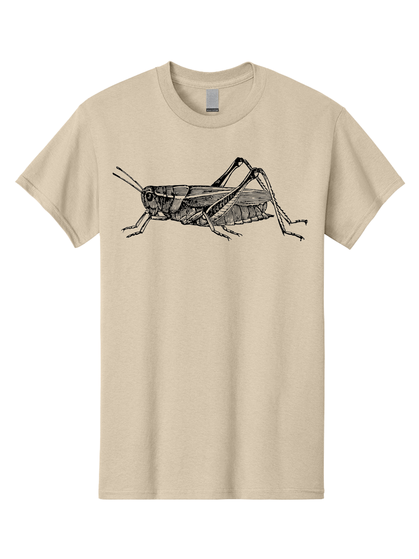 Grasshopper-Illustration Men'S Graphic Tee, 100% Cotton, Comfortable Casual Summer Wear, Machine Washable, Grasshopper Illustration, Insect Art, Detailed Drawing, Black And Green, Wildlife Graphic, Entomology, Nature Design, Bug Illustration Aab536 27