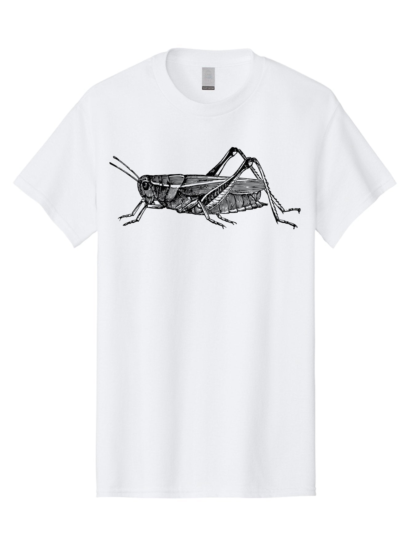Grasshopper-Illustration Men'S Graphic Tee, 100% Cotton, Comfortable Casual Summer Wear, Machine Washable, Grasshopper Illustration, Insect Art, Detailed Drawing, Black And Green, Wildlife Graphic, Entomology, Nature Design, Bug Illustration Aab536 10