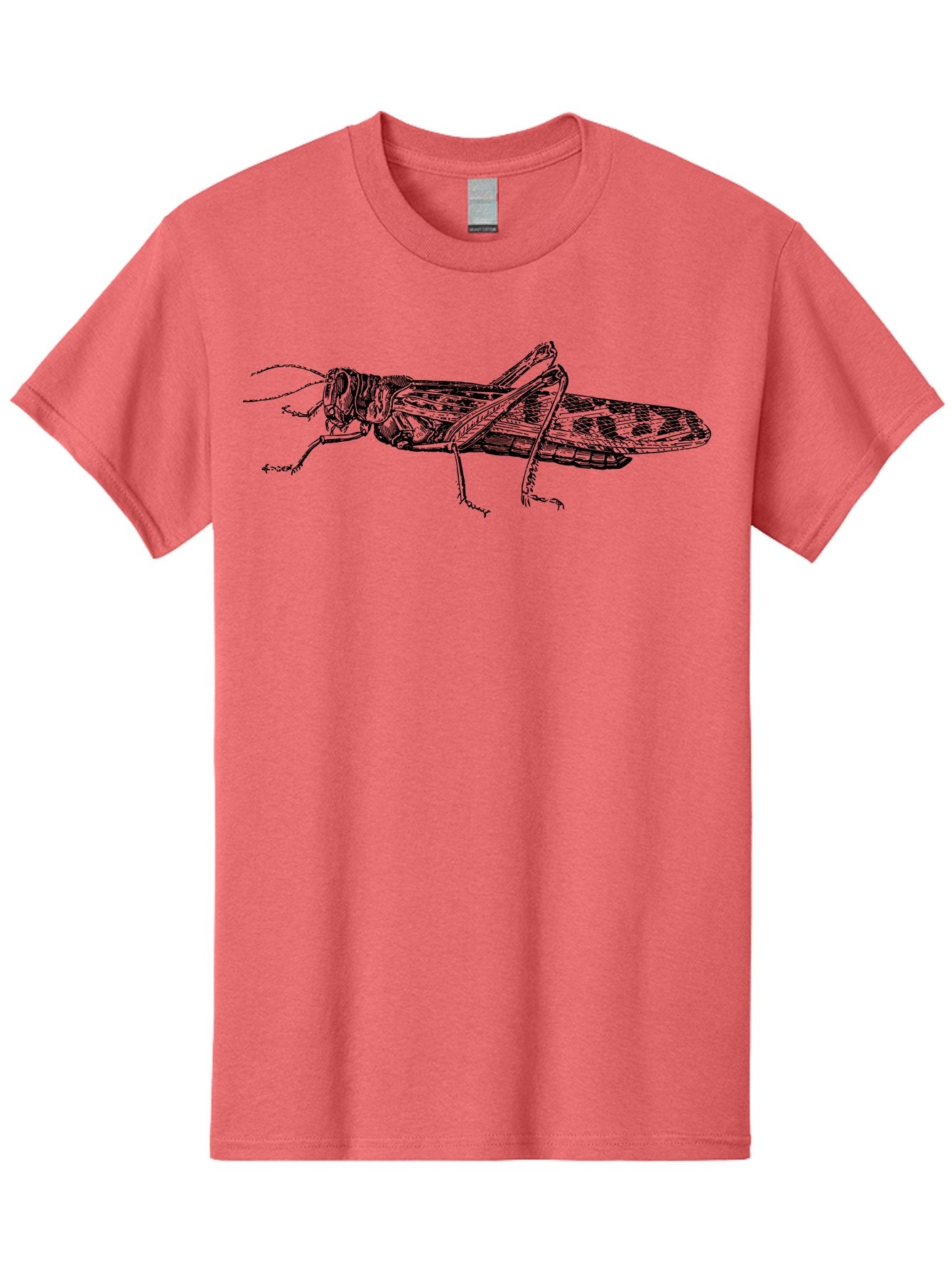 Grasshopper Men'S Graphic Tee, 100% Cotton, Comfortable Casual Summer Wear, Machine Washable, Detailed Illustration, Grasshopper, Insect, Entomology, Wildlife, Sketch Art, Black Lines, Detailed Drawing, Fauna, Zoology Aab537 10