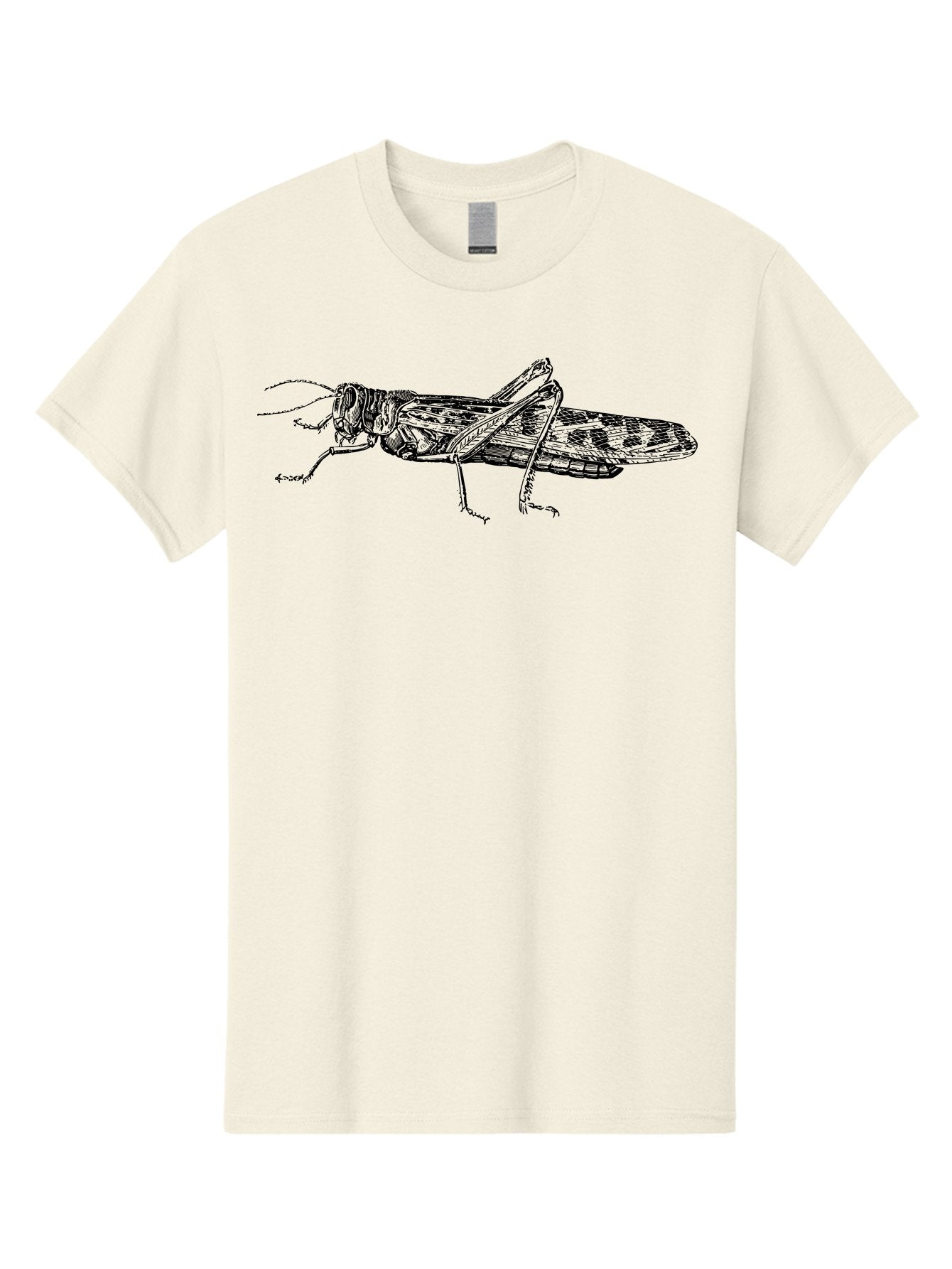 Grasshopper Men'S Graphic Tee, 100% Cotton, Comfortable Casual Summer Wear, Machine Washable, Detailed Illustration, Grasshopper, Insect, Entomology, Wildlife, Sketch Art, Black Lines, Detailed Drawing, Fauna, Zoology Aab537 8