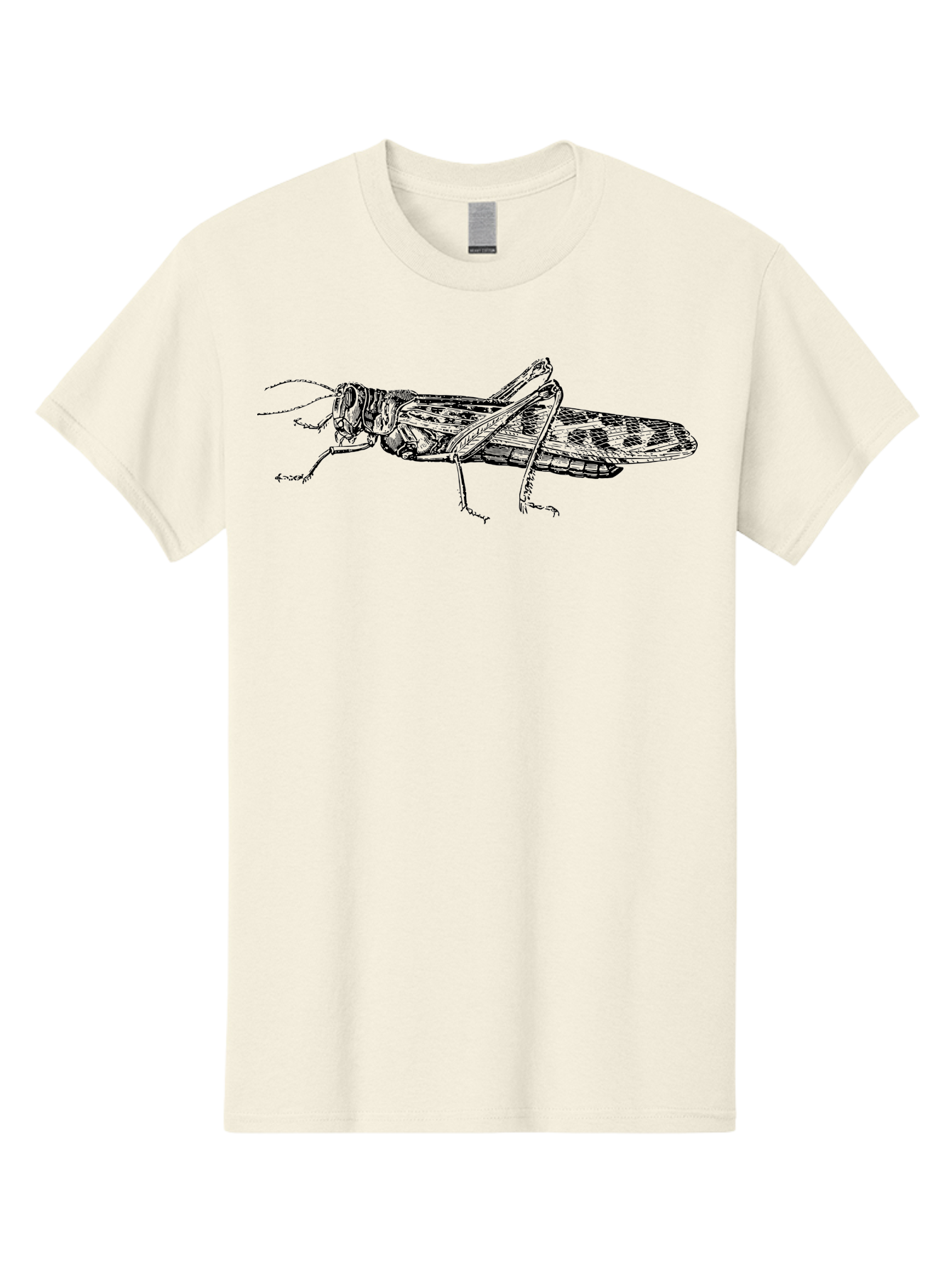 Grasshopper Men'S Graphic Tee, 100% Cotton, Comfortable Casual Summer Wear, Machine Washable, Detailed Illustration, Grasshopper, Insect, Entomology, Wildlife, Sketch Art, Black Lines, Detailed Drawing, Fauna, Zoology Aab537 17