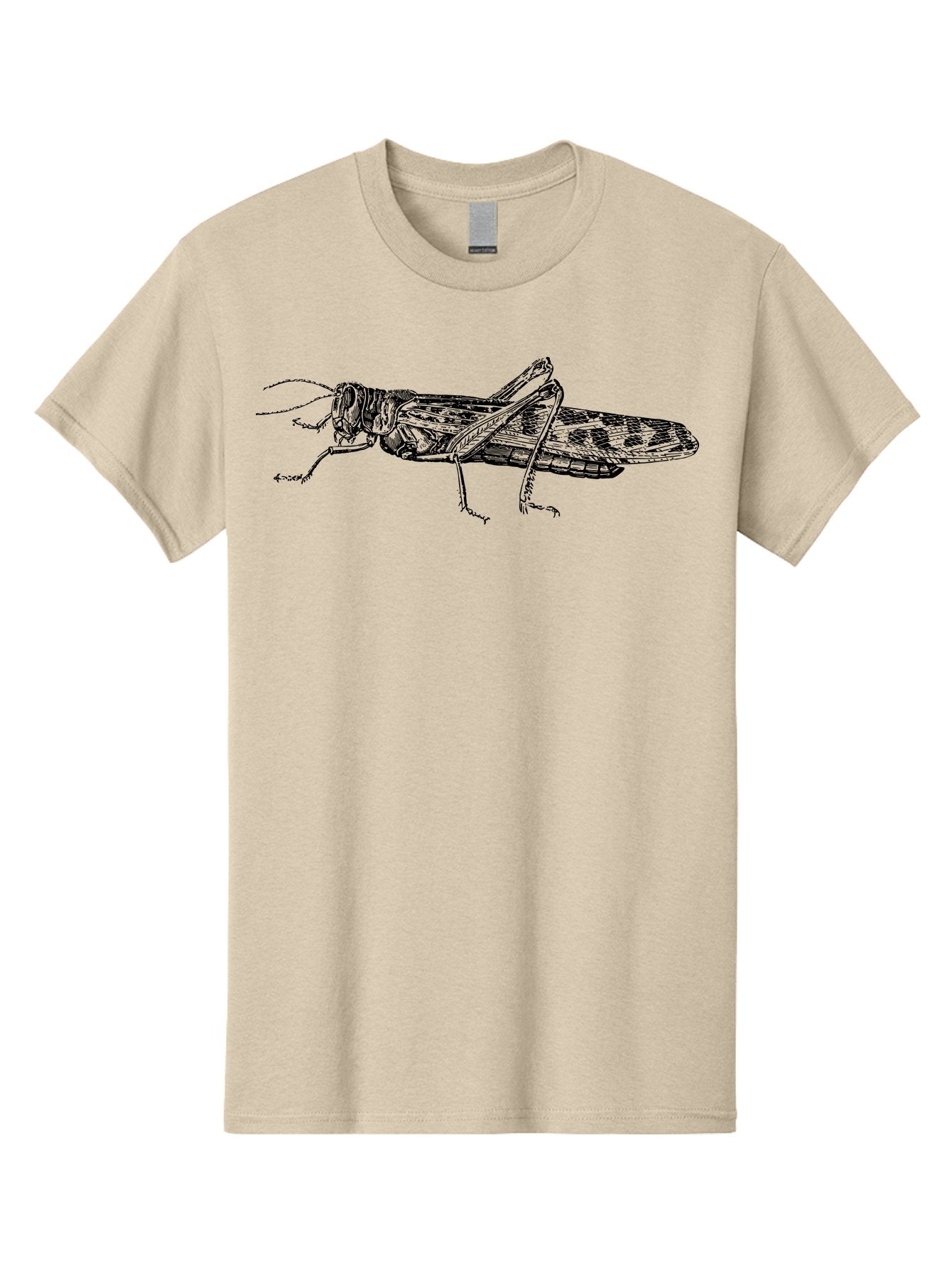 Grasshopper Men'S Graphic Tee, 100% Cotton, Comfortable Casual Summer Wear, Machine Washable, Detailed Illustration, Grasshopper, Insect, Entomology, Wildlife, Sketch Art, Black Lines, Detailed Drawing, Fauna, Zoology Aab537 13