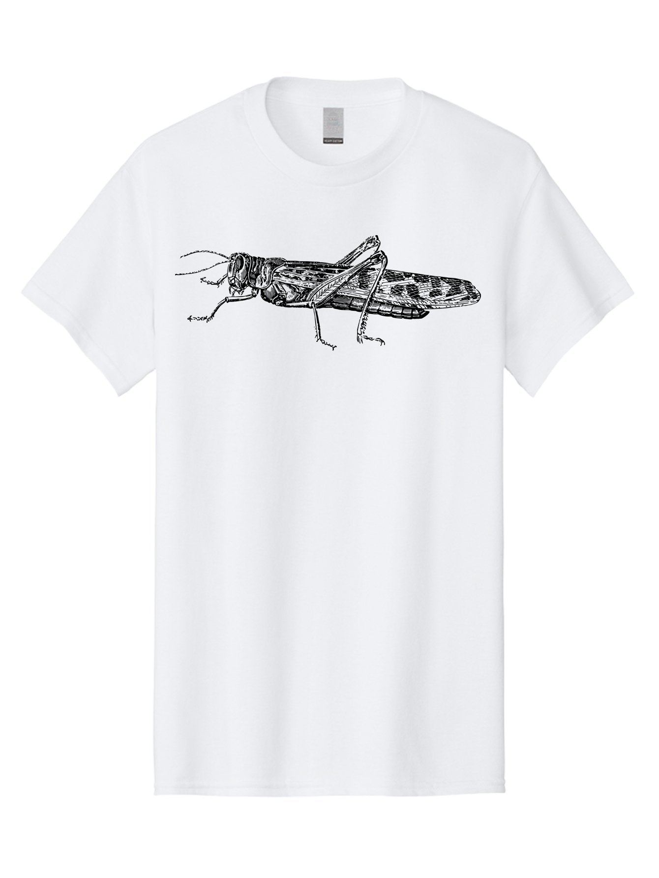 Grasshopper Men'S Graphic Tee, 100% Cotton, Comfortable Casual Summer Wear, Machine Washable, Detailed Illustration, Grasshopper, Insect, Entomology, Wildlife, Sketch Art, Black Lines, Detailed Drawing, Fauna, Zoology Aab537
