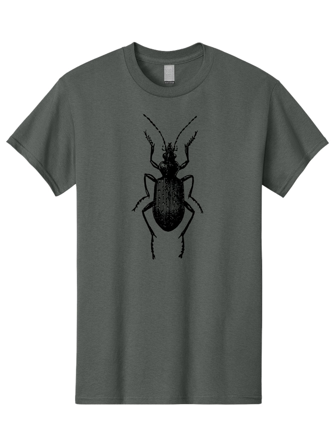 Ground-Beetle Men'S Graphic Tee, 100% Cotton, Comfortable Casual Summer Wear, Machine Washable, Black Beetle, Insect Silhouette, Detailed Illustration, Entomology Art, Bug Graphics, Six Legs, Antennae, Vector Design Aab538 9