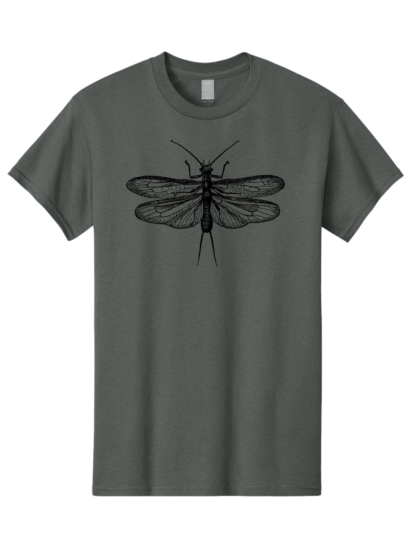Katydid Men'S Graphic Tee, 100% Cotton, Comfortable Casual Summer Wear, Machine Washable, Black Cricket Illustration, Insect Art, Detailed Drawing, Winged Creature, Entomology, Insect Wings, Detailed Lines, Graphic Design Aab540 9
