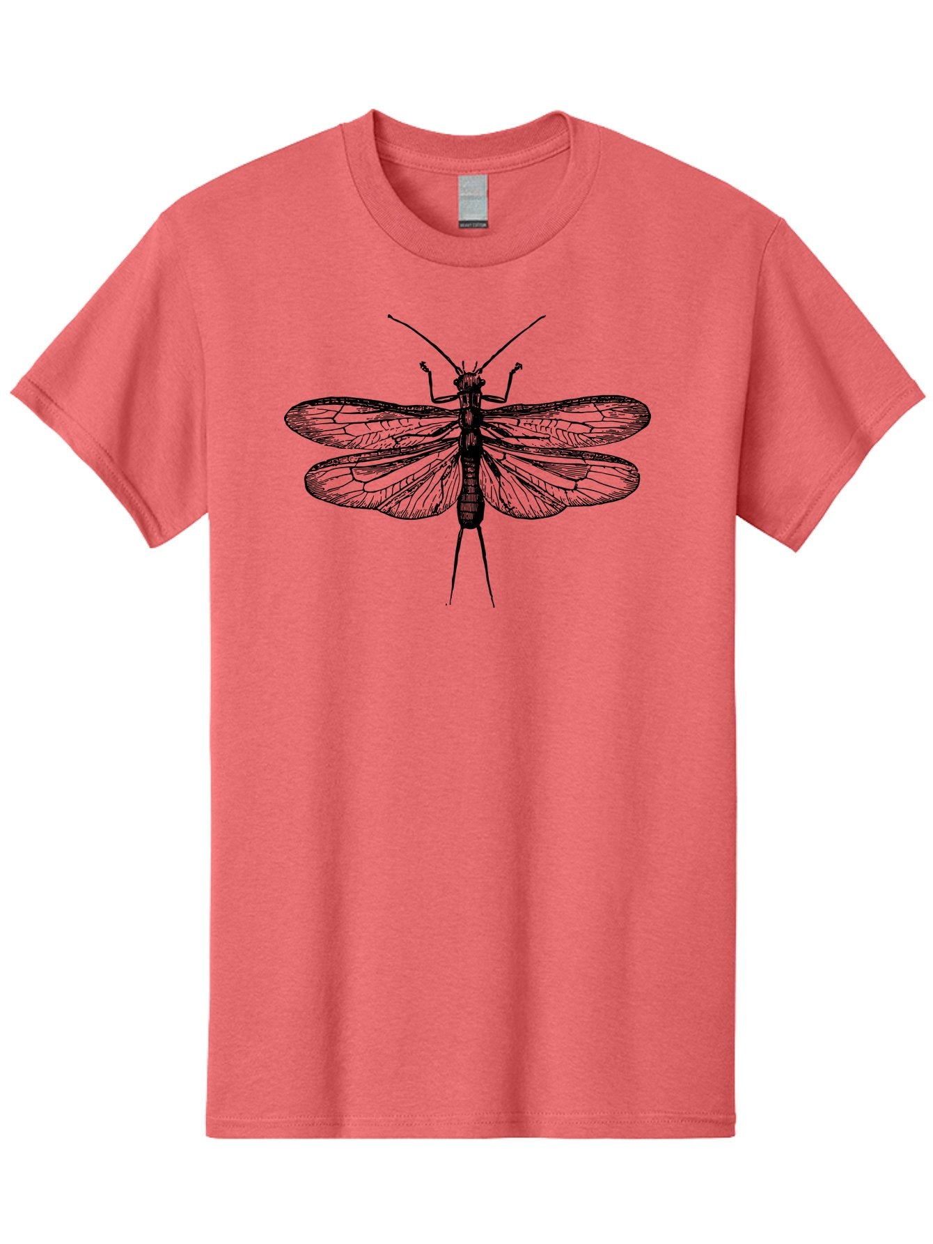 Katydid Men'S Graphic Tee, 100% Cotton, Comfortable Casual Summer Wear, Machine Washable, Black Cricket Illustration, Insect Art, Detailed Drawing, Winged Creature, Entomology, Insect Wings, Detailed Lines, Graphic Design Aab540 8