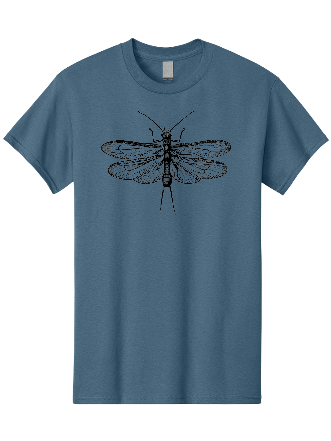 Katydid Men'S Graphic Tee, 100% Cotton, Comfortable Casual Summer Wear, Machine Washable, Black Cricket Illustration, Insect Art, Detailed Drawing, Winged Creature, Entomology, Insect Wings, Detailed Lines, Graphic Design Aab540 11