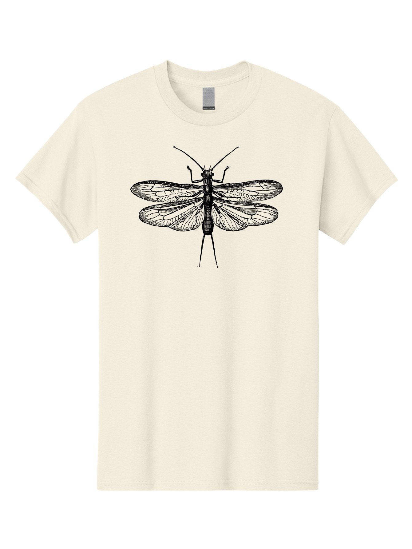 Katydid Men'S Graphic Tee, 100% Cotton, Comfortable Casual Summer Wear, Machine Washable, Black Cricket Illustration, Insect Art, Detailed Drawing, Winged Creature, Entomology, Insect Wings, Detailed Lines, Graphic Design Aab540 3