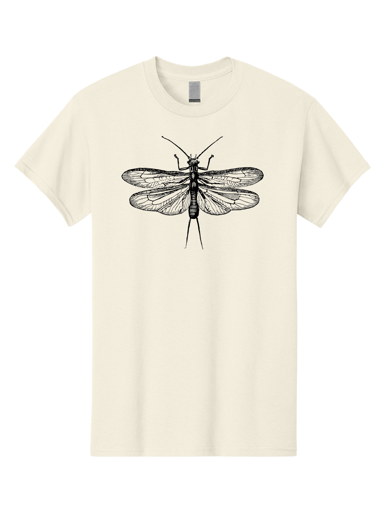 Katydid Men'S Graphic Tee, 100% Cotton, Comfortable Casual Summer Wear, Machine Washable, Black Cricket Illustration, Insect Art, Detailed Drawing, Winged Creature, Entomology, Insect Wings, Detailed Lines, Graphic Design Aab540 17