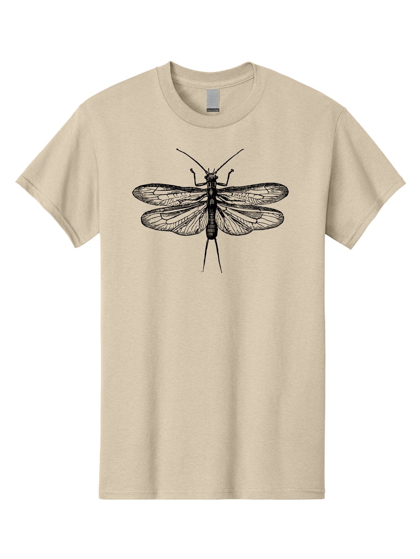 Katydid Men'S Graphic Tee, 100% Cotton, Comfortable Casual Summer Wear, Machine Washable, Black Cricket Illustration, Insect Art, Detailed Drawing, Winged Creature, Entomology, Insect Wings, Detailed Lines, Graphic Design Aab540 11