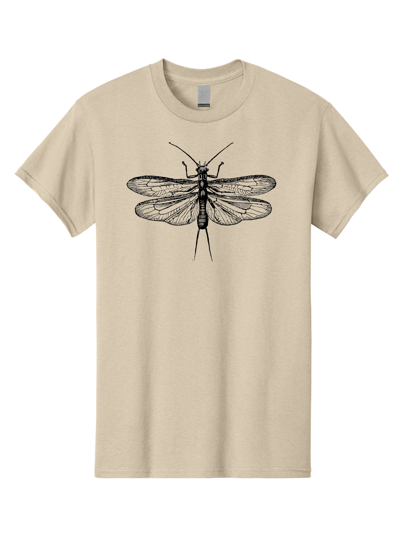 Katydid Men'S Graphic Tee, 100% Cotton, Comfortable Casual Summer Wear, Machine Washable, Black Cricket Illustration, Insect Art, Detailed Drawing, Winged Creature, Entomology, Insect Wings, Detailed Lines, Graphic Design Aab540 27