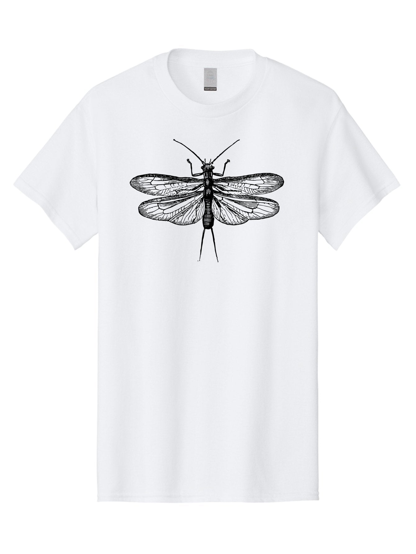 Katydid Men'S Graphic Tee, 100% Cotton, Comfortable Casual Summer Wear, Machine Washable, Black Cricket Illustration, Insect Art, Detailed Drawing, Winged Creature, Entomology, Insect Wings, Detailed Lines, Graphic Design Aab540 5