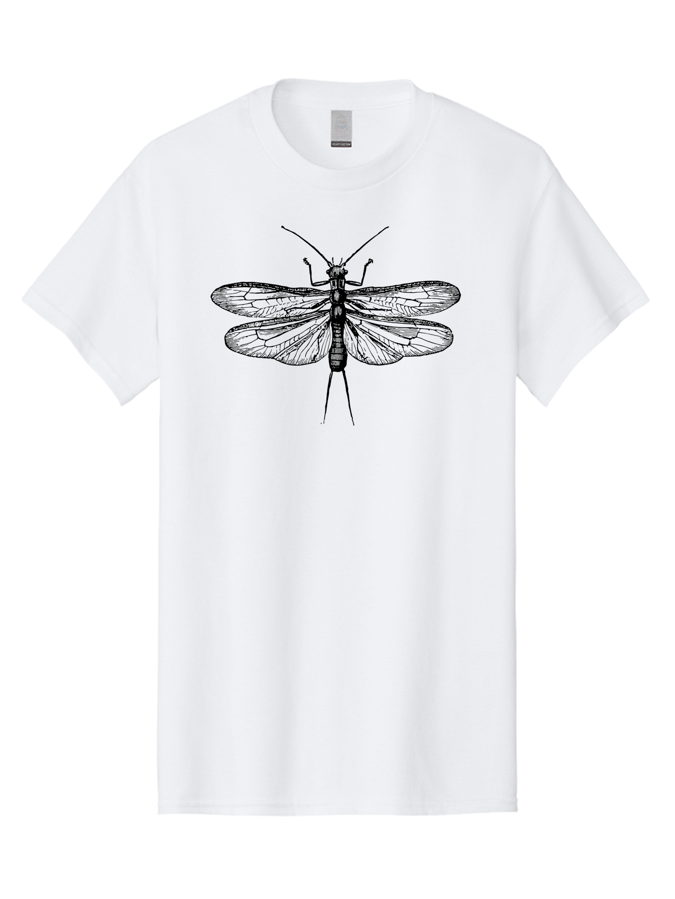 Katydid Men'S Graphic Tee, 100% Cotton, Comfortable Casual Summer Wear, Machine Washable, Black Cricket Illustration, Insect Art, Detailed Drawing, Winged Creature, Entomology, Insect Wings, Detailed Lines, Graphic Design Aab540 29