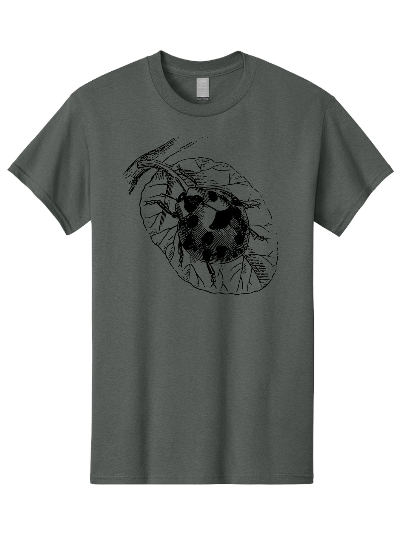 Ladybug-On-Leaf Men'S Graphic Tee, 100% Cotton, Comfortable Casual Summer Wear, Machine Washable, Ladybug On A Leaf, Black And White Illustration, Lady Beetle, Garden Insect, Sketch Art, Wildlife Illustration, Beetle On Foliage Aab541 13
