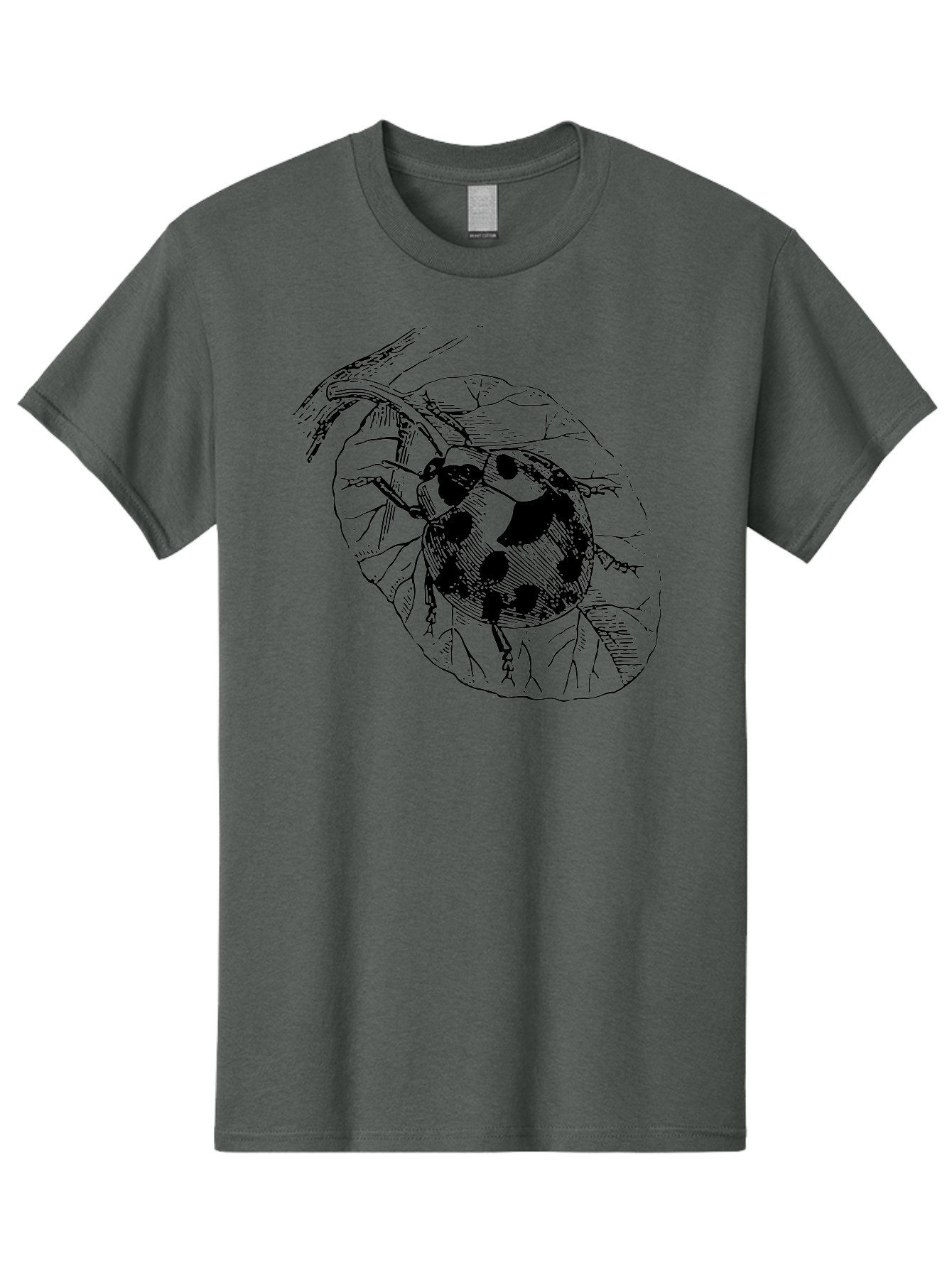 Ladybug-On-Leaf Men'S Graphic Tee, 100% Cotton, Comfortable Casual Summer Wear, Machine Washable, Ladybug On A Leaf, Black And White Illustration, Lady Beetle, Garden Insect, Sketch Art, Wildlife Illustration, Beetle On Foliage Aab541 3