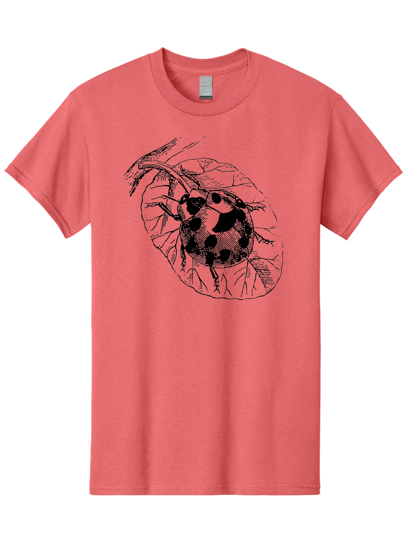 Ladybug-On-Leaf Men'S Graphic Tee, 100% Cotton, Comfortable Casual Summer Wear, Machine Washable, Ladybug On A Leaf, Black And White Illustration, Lady Beetle, Garden Insect, Sketch Art, Wildlife Illustration, Beetle On Foliage Aab541 5