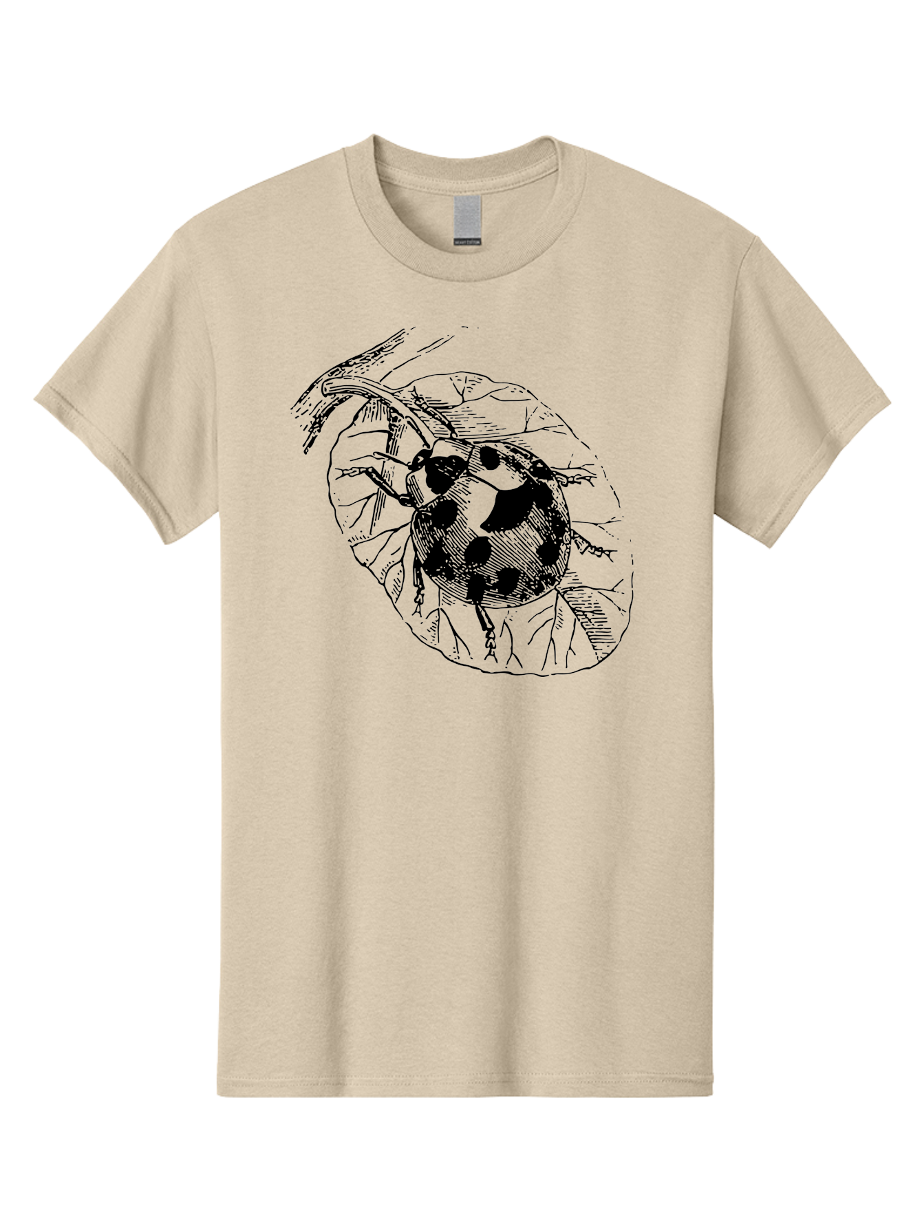 Ladybug-On-Leaf Men'S Graphic Tee, 100% Cotton, Comfortable Casual Summer Wear, Machine Washable, Ladybug On A Leaf, Black And White Illustration, Lady Beetle, Garden Insect, Sketch Art, Wildlife Illustration, Beetle On Foliage Aab541 27