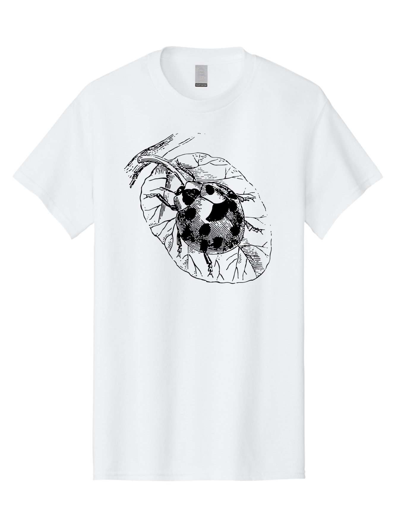 Ladybug-On-Leaf Men'S Graphic Tee, 100% Cotton, Comfortable Casual Summer Wear, Machine Washable, Ladybug On A Leaf, Black And White Illustration, Lady Beetle, Garden Insect, Sketch Art, Wildlife Illustration, Beetle On Foliage Aab541 29