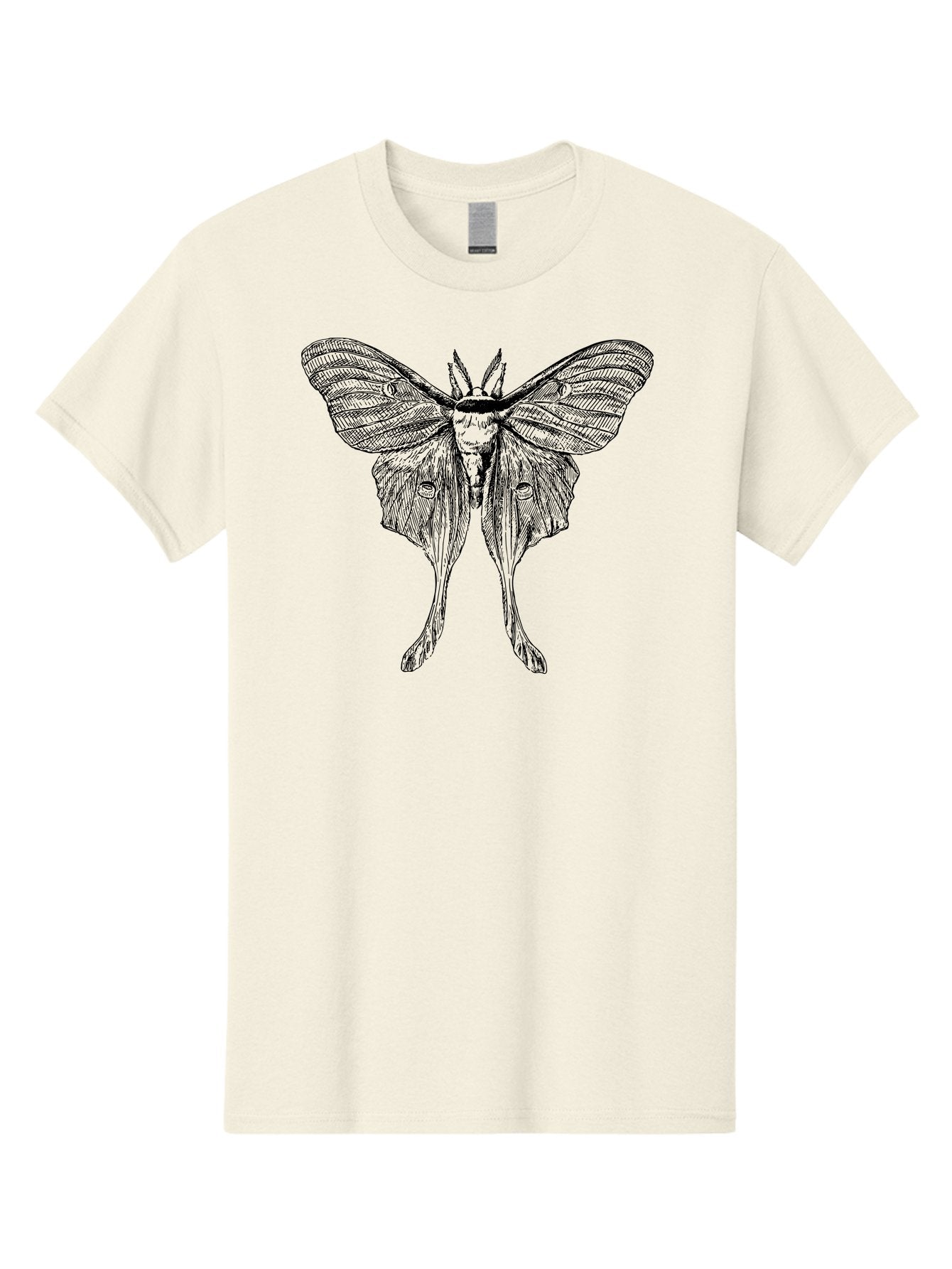 Luna-Moth Men'S Graphic Tee, 100% Cotton, Comfortable Casual Summer Wear, Machine Washable, Luna Moth, Insect Art, Entomology Illustration, Detailed Drawing, Natural History Art, Wingspan, Nocturnal Creature, Gothic Aesthetic, Aab543 15