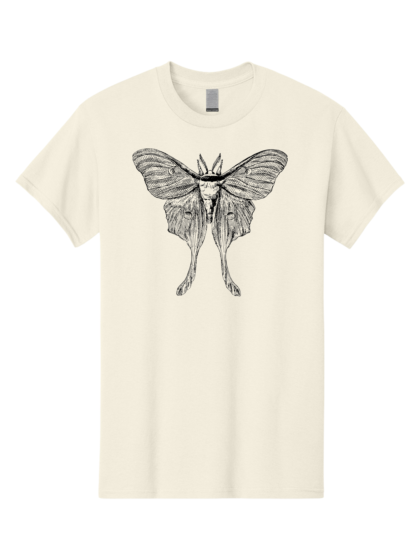 Luna-Moth Men'S Graphic Tee, 100% Cotton, Comfortable Casual Summer Wear, Machine Washable, Luna Moth, Insect Art, Entomology Illustration, Detailed Drawing, Natural History Art, Wingspan, Nocturnal Creature, Gothic Aesthetic, Aab543 17