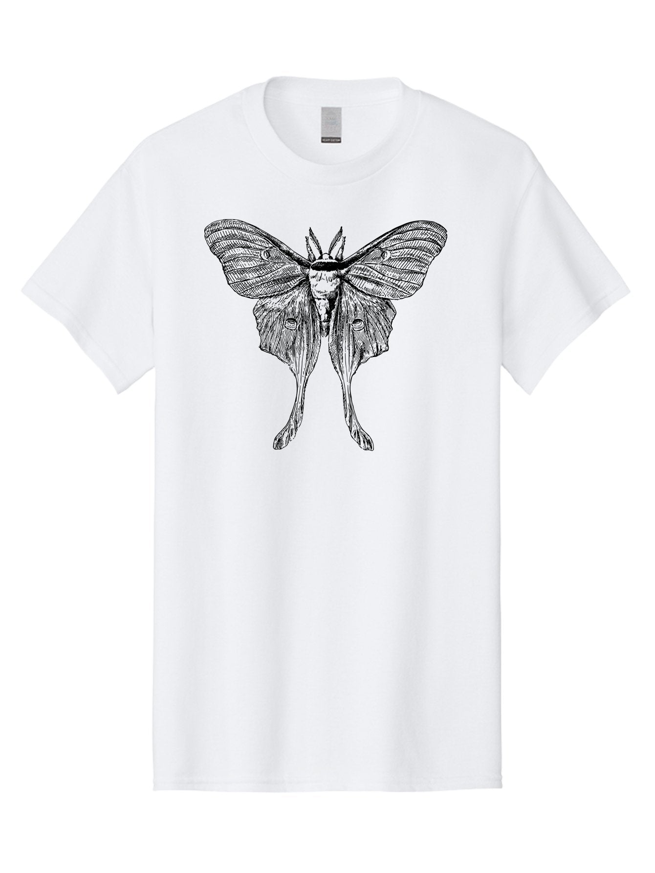 Luna-Moth Men'S Graphic Tee, 100% Cotton, Comfortable Casual Summer Wear, Machine Washable, Luna Moth, Insect Art, Entomology Illustration, Detailed Drawing, Natural History Art, Wingspan, Nocturnal Creature, Gothic Aesthetic, Aab543 5