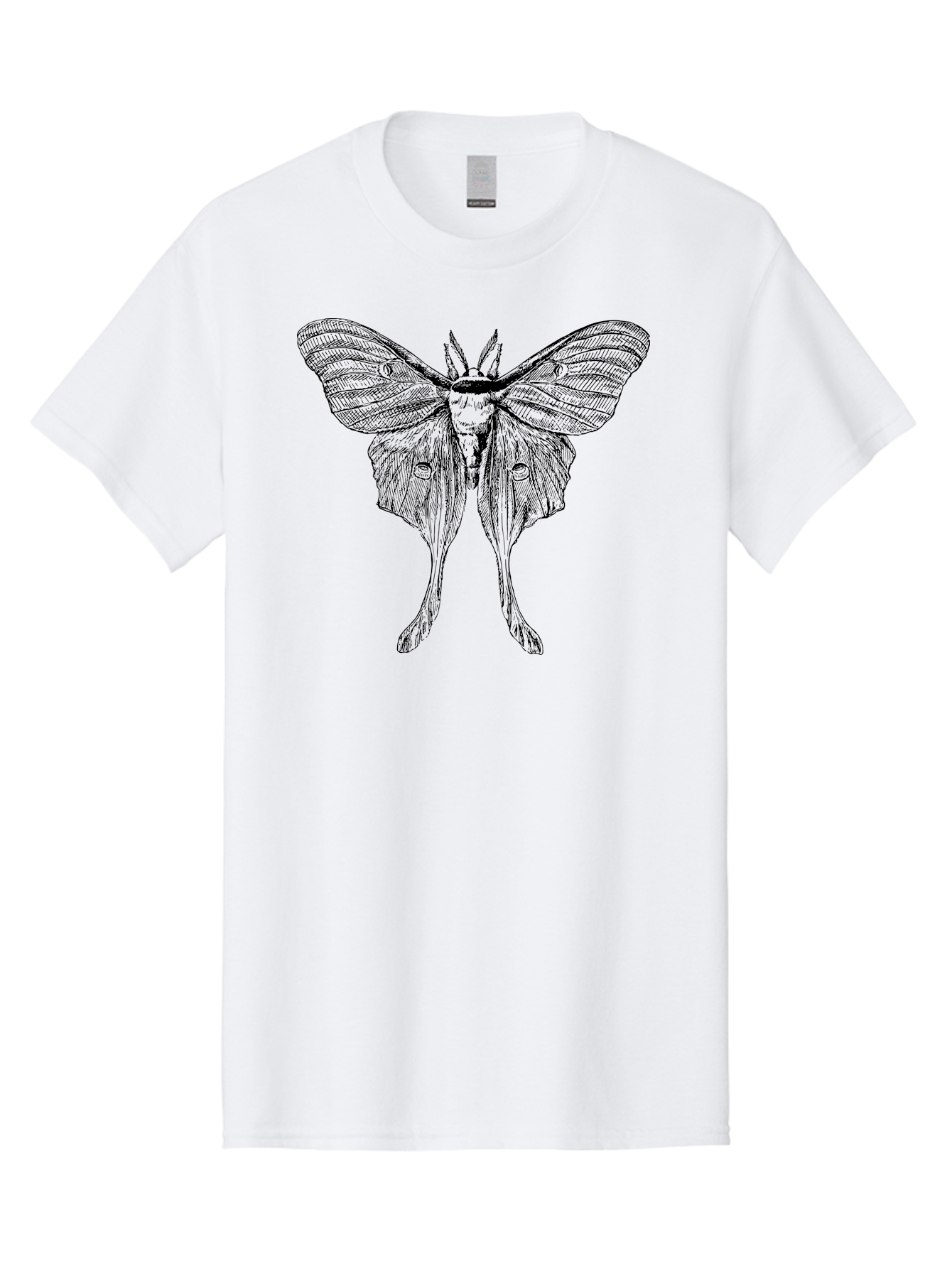 Luna-Moth Men'S Graphic Tee, 100% Cotton, Comfortable Casual Summer Wear, Machine Washable, Luna Moth, Insect Art, Entomology Illustration, Detailed Drawing, Natural History Art, Wingspan, Nocturnal Creature, Gothic Aesthetic, Aab543 29