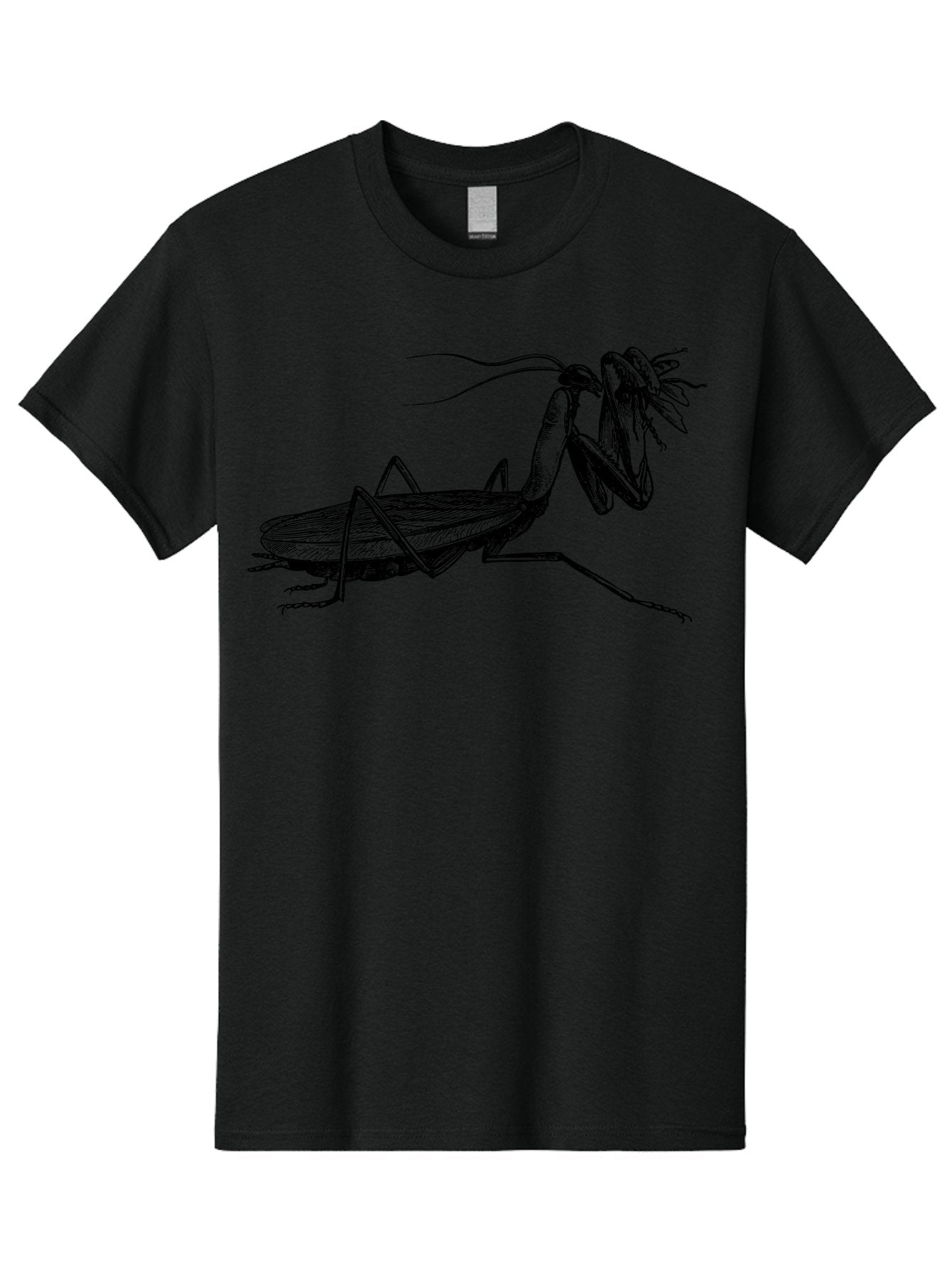 Mantis-Eating-Fly Men'S Graphic Tee, 100% Cotton, Comfortable Casual Summer Wear, Machine Washable, Praying Mantis Eating A Fly, Insect Predator, Detailed Illustration, Black And Green, Entomology Art, Wildlife Photography, Insect Behavior Aab544 11