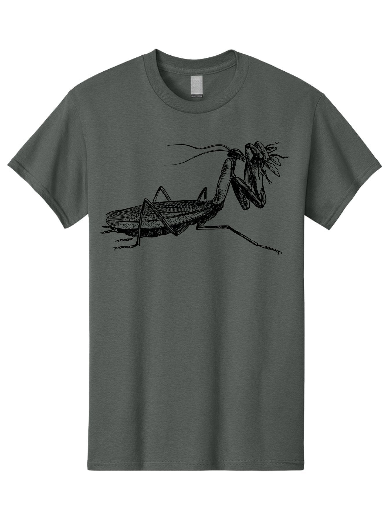 Mantis-Eating-Fly Men'S Graphic Tee, 100% Cotton, Comfortable Casual Summer Wear, Machine Washable, Praying Mantis Eating A Fly, Insect Predator, Detailed Illustration, Black And Green, Entomology Art, Wildlife Photography, Insect Behavior Aab544 3