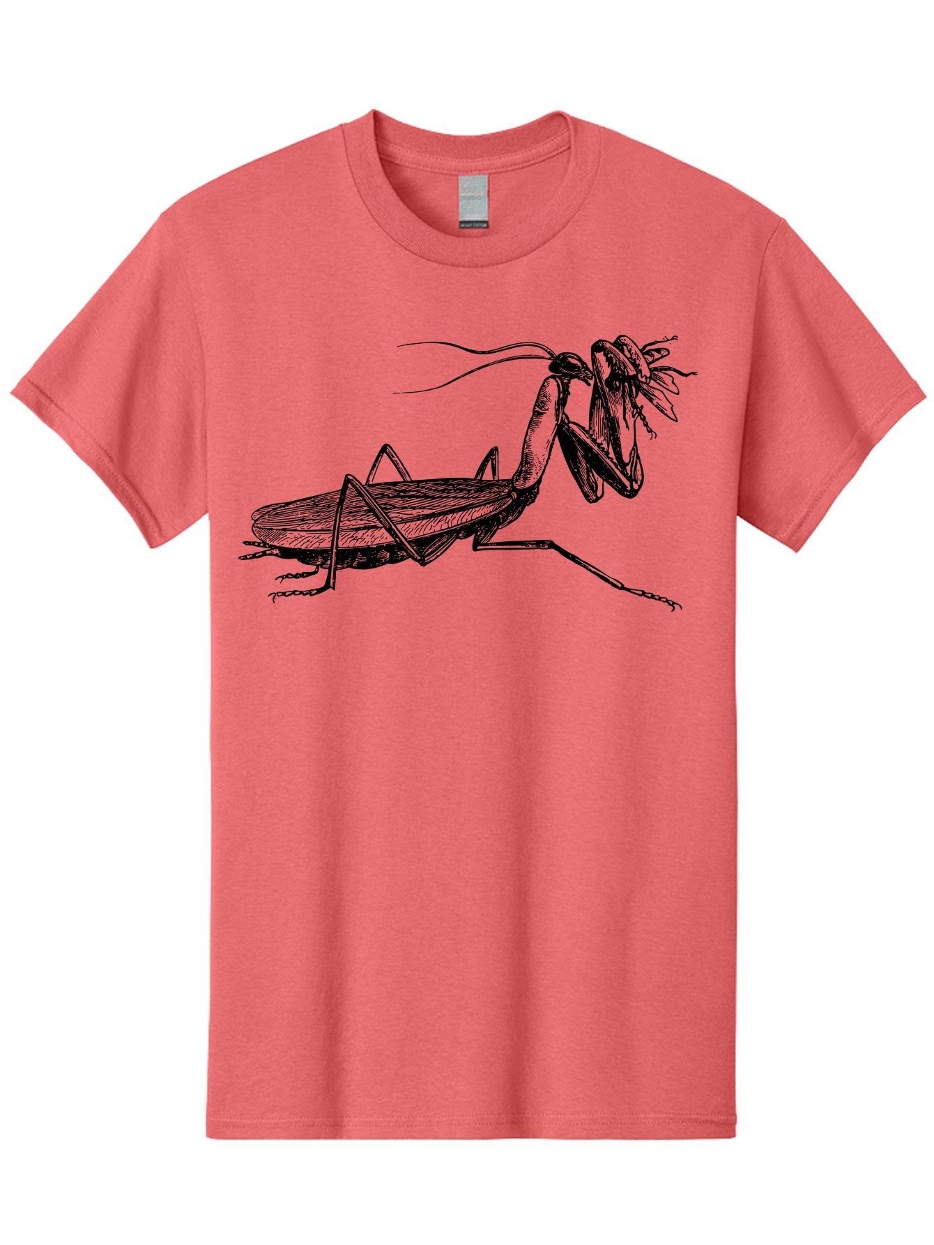 Mantis-Eating-Fly Men'S Graphic Tee, 100% Cotton, Comfortable Casual Summer Wear, Machine Washable, Praying Mantis Eating A Fly, Insect Predator, Detailed Illustration, Black And Green, Entomology Art, Wildlife Photography, Insect Behavior Aab544 12