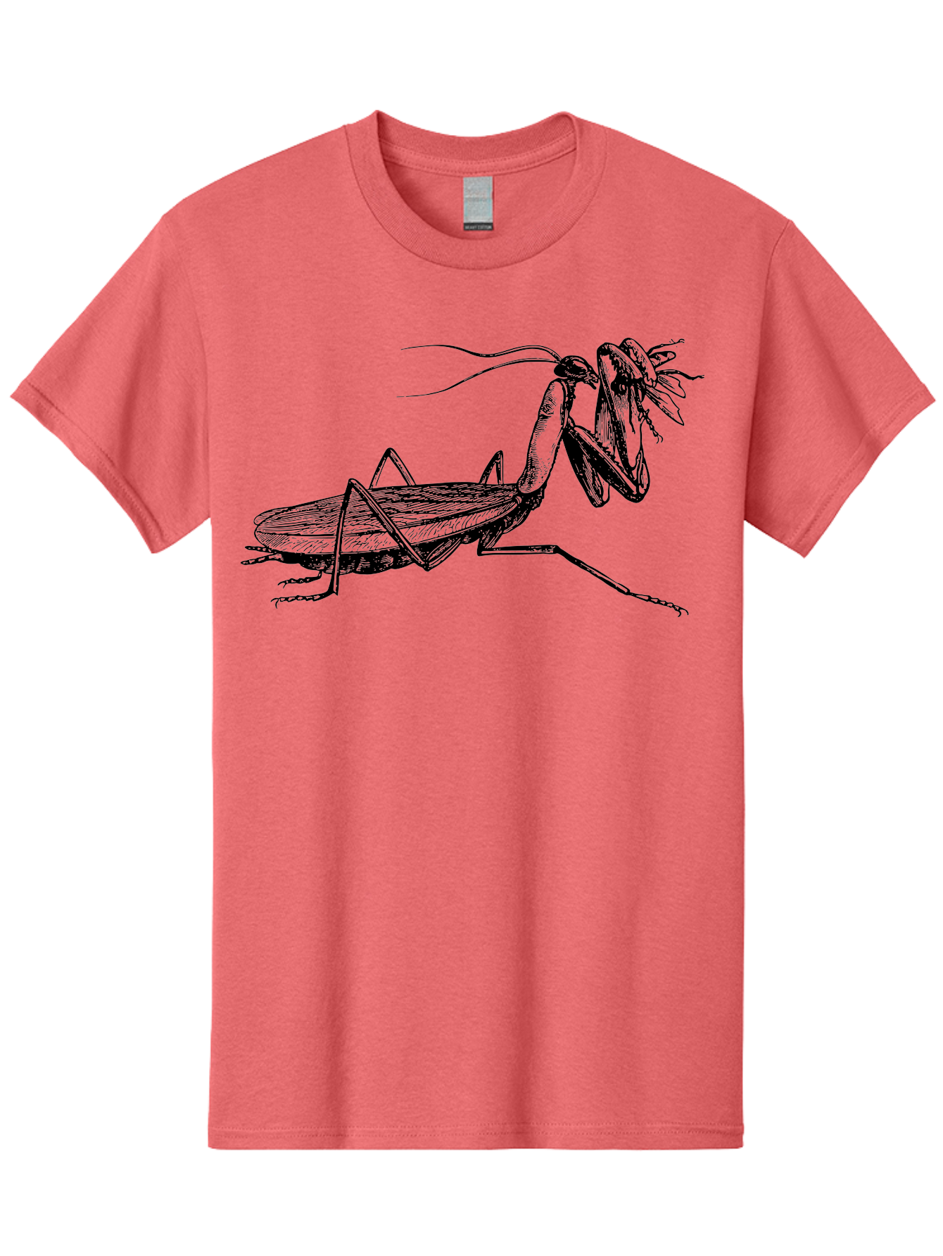 Mantis-Eating-Fly Men'S Graphic Tee, 100% Cotton, Comfortable Casual Summer Wear, Machine Washable, Praying Mantis Eating A Fly, Insect Predator, Detailed Illustration, Black And Green, Entomology Art, Wildlife Photography, Insect Behavior Aab544 5