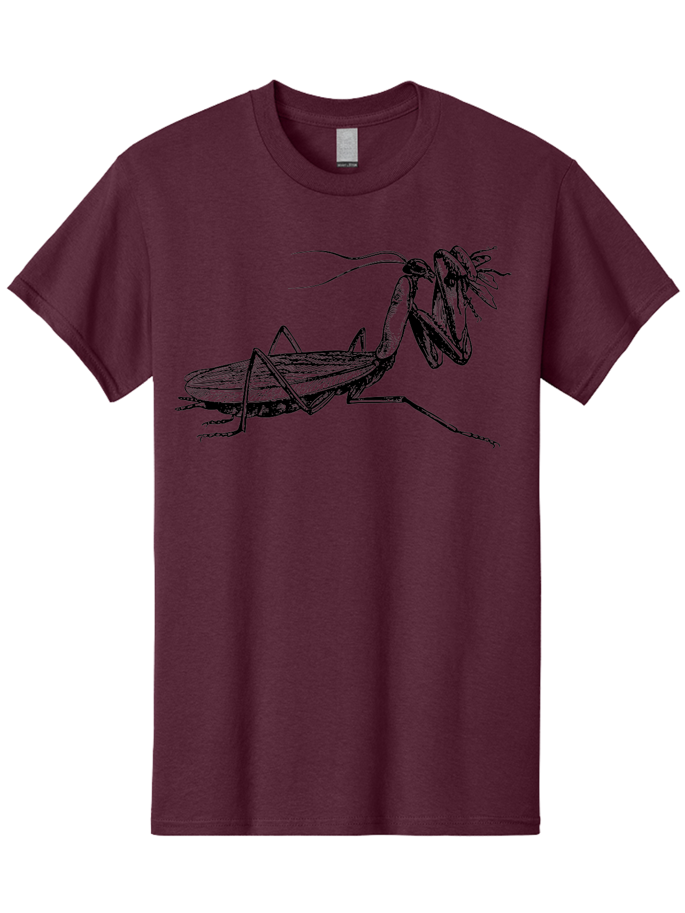 Mantis-Eating-Fly Men'S Graphic Tee, 100% Cotton, Comfortable Casual Summer Wear, Machine Washable, Praying Mantis Eating A Fly, Insect Predator, Detailed Illustration, Black And Green, Entomology Art, Wildlife Photography, Insect Behavior Aab544 13